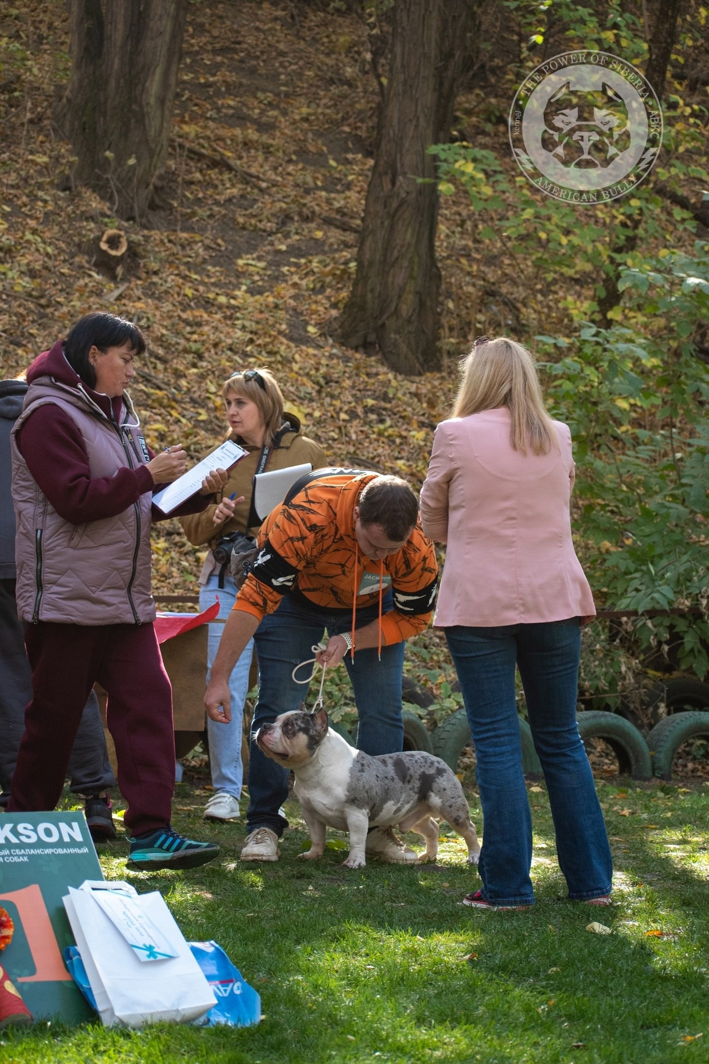 американский булли Юг, американский булли южный округ, лучшие американские булли на юге россии, топовые булли в россии, топовые американские булли в россии, ТОП булли, Топ американский булли, самые крутые американские булли, булли клаccик, булли покет, булли стандарт, булли экзот, булли xl, амeриканский булли, щенок булли, американский булли питомник, американский булли купить, американский булли щенок, американский булли москва, американский булли ростов-на-дону, американский булли краснодар, американский булли ставрополь, американский булли волгоград, американский булли семфирополь, американский булли ставрополь, американский булли сочи, американский булли воронеж, американский булли питер, американский булли санкт-петербург, американский булли Казань, американский булли Новосибирск, американский булли Челябинск, американский булли Ростов, американский булли Луганск, американский булли Донецк, американский булли покет, американский булли классик.американский булли ,американский булли щенки , американский булли купить ,американский булли фото , американский булли покет , собака американский булли , порода американский булли , американский булли цена , купить щенка американского булли ,американский булли характеристика , порода собак американский булли, питомник американских булли , американский булли отзывы, американский булли стандарт , американский булли отзывы владельцев, американский булли xl , россия американские булли , американские булли москва , американский булли вес , американский булли цена щенка, американский булли породы собак сша , американский булли размеры , американский булли классик , американский булли классика , американский булли характеристика породы , авито американский булли , сколько стоит американский булли , окрасы американских булли , американский булли виды , американский булли типы , американский булли цена в россии , американский булли экзот , американский булли микро , американский булли мини , собака американский булли фото , американский булли спб , американский булли характер , минусы американского булли , купить американского булли в москве , американские булли сколько щенков , плюсы американского булли , американский булли плюсы и минусы , взрослый американский булли , американский булли фото цена , американский булли фото щенков , американский булли крым , сколько живут американские булли , американский булли описание , американский булли купить авито , американский булли ростов , собачий питомник , питомник для собак , собаки , порода , щенки, щенок для детей, щенок для ребенка, щенок для семьи, собака для ребенка, питомник BULLY LOVERS, питомник THE POWER OF SIBERIA, питомник Ultimate Bully, питомник FORTIS FORTUNA VALIDI, питомник EXTREME BEAR, питомник American Dream, Питомник RUSSIAN BULLS, питомник ТАРУС & BULLY LAND, питомник Bully Ranch P&N, Питомник ANTREABULLS, питомник Ambully House, питомник Mar Nero, питомник Alfabulls, #micro #microbully #ambully #ambullys #ambullylife #ambullyforlife #ambullyworld #ambullylove #ambullylover #ambullylovers #ambullyloversfans #americanbullybreed #americanbullykennelclub #американскийбуллипитомник #bullies #bulliesallday #bulliesofig #bulliesofinsta #bulliesofinstagram #instabullies #bullieslife #bullymag #americanbully_feature #americanbullydog #tribullies #americanbullyblue #americanbullytricolor #bullystick #americanbullyStud, американский булли,американский булли щенки,американский булли купить,американский булли покет,американский булли фото,собака американский булли,порода американский булли,американский булли цена,американский булли купить щенка,американский булли характеристика,порода собак американский булли,американский булли отзывы,питомник американских булли,американский булли стандарт,американский булли отзывы владельцев,россия американские булли,американский булли виды,американский булли цена щенка,сколько стоит американский булли,американский булли цена в россии,американские булли москва,американский булли xl,американский булли размеры,типы американских булли,американский булли мини,американский булли вес,авито американский булли,американский булли породы собак сша,американский булли микро,американский булли характеристика породы,американский булли экзот,американский булли классик,американский булли классика,собака американский булли фото,американский булли характер,минусы американского булли,американские булли спб,американский булли окрасы,американский булли купить в москве,американские булли сколько щенков,плюсы американского булли,американский булли видео,американский булли плюсы и минусы,американский булли щенок фото,взрослый американский булли,американский булли девочка,американский булли описание,сколько живут американские булли,американский булли покет купить,американский булли крым,american bully,american bully ru,american bully ru shchenki,https american bully ru,https american bully ru shchenki,american bully xl,american bully питомник,american bully dog,american bully kennel,american dream bully,american bully pocket,american bully kennel club,all american bully фильм смотреть,american bully xxl,reddit american bully,american bully ru shchenki html,american bully wise,celina innovations crochet american bully part,https american bully ru shchenki html,american bully classic,питомник американских булли,питомник собак американский булли,питомник американских булли в крыму,питомник собак в крыму американские булли,питомник в крыму американский булли последние,питомник американских булли в москве,американские булли купить питомник,питомник американских булли в россии,питомник американских булли покеткупить щенка американский булли питомник,американские булли цена питомники,питомник американских булли в спб,питомник американских булли яна,купить американского булли в москве питомник,питомник американских булли в москве и московской,официальные питомники американских булли,крым питомник американских булли яна,булли американский купить питомник цена,москва и область питомники американских булли,питомник американских булли яна и гоша,американские булли подмосковья питомник,американский булли стандарт питомник,питомник американских булли екатеринбург,питомник американских булли ростов,лучшие питомники американских булли,питомник собак крым американский булли яна,яна питомник собак американский булли,американский булли купить в спб питомник,американский булли питомник львиное сердце уфа,американский булли питомник львиное сердце уфа вк,американский булли лучший питомник россии,американский булли питомник краснодар,американский булли купить спб щенка питомник,американский булли покет питомник москва,американский булли сайт питомник,питомник американский булли официальный сайт,питомник американских булли в челябинске,питомники американских булли в россии список лучших,питомник собак американских булли серпухов,питомник собак дзен американский булли,американский булли xl питомник,питомник американских булли в талдоме,питомник и цена американ американский булли,фаворит гигант питомник американских булли,американский булли купить,американский булли купить щенка,американский булли купить в москве,американский булли покет купить,американский булли купить щенка в москве,американский булли купить авито,купить американский булли цена,купить американского булли в спб,купить собаку американский булли,американский булли купить щенка цена,американский булли покет купить щенка,американский булли купить в беларуси,американский булли стандарт купить,американский булли купить москва московская область,купить американского булли в россии,купить американского булли в московской области,американский булли купить в екатеринбурге,американский булли купить в новосибирске,американский булли купить щенка в спб,