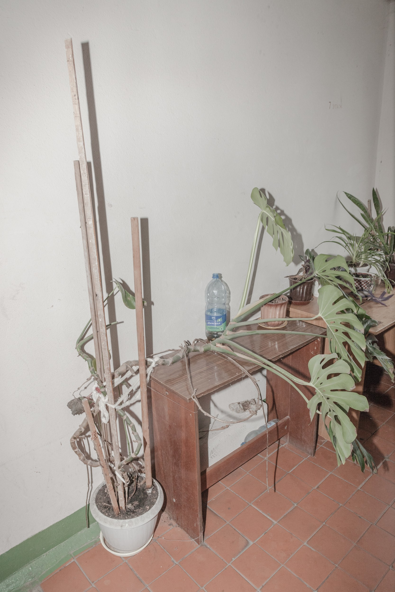Make yourself at home (2018). Künstler Verstecktoff