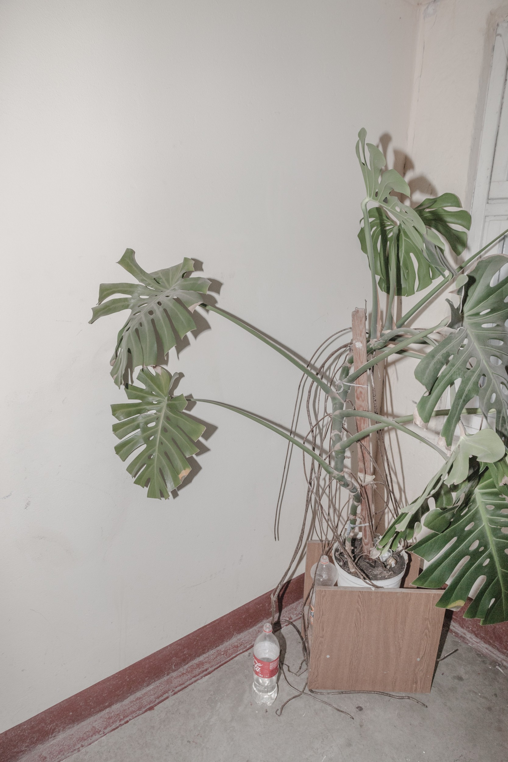 Make yourself at home (2018). Künstler Verstecktoff