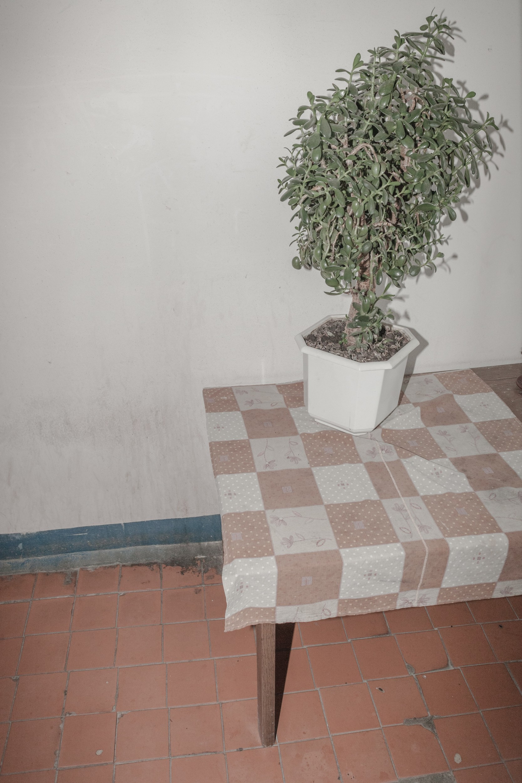 Make yourself at home (2018). Künstler Verstecktoff
