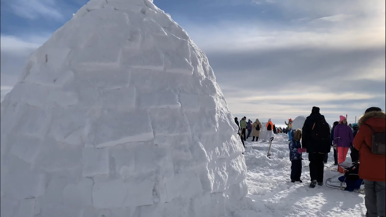 «ИГЛУ — город эскимосов», городской фестиваль. Детские программы Школа безопасности Новосибирск