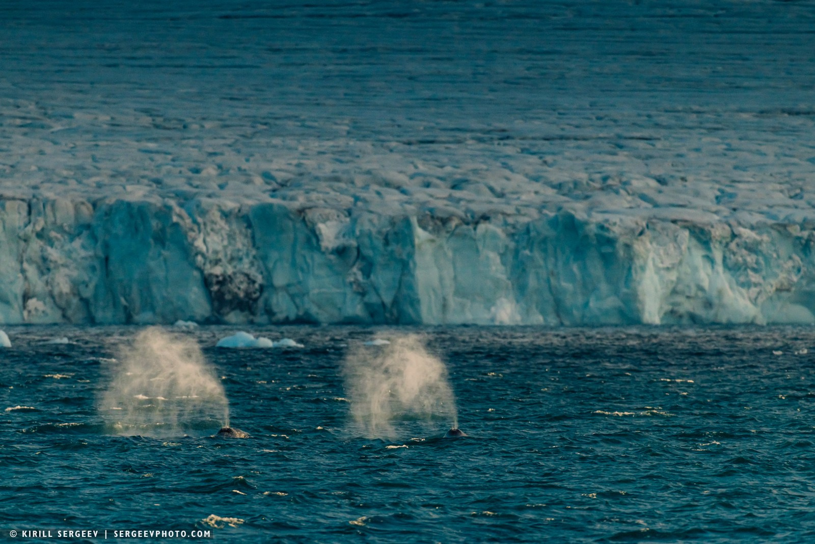北極奧德賽. 攝影師 基里爾·謝爾蓋耶夫 |莫斯科
