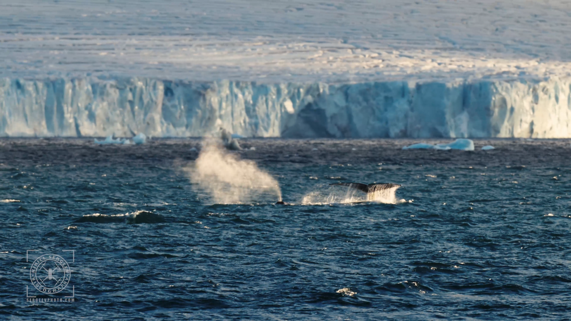 ARCTIC FILM. Photographer Kirill Sergeev | Moscow