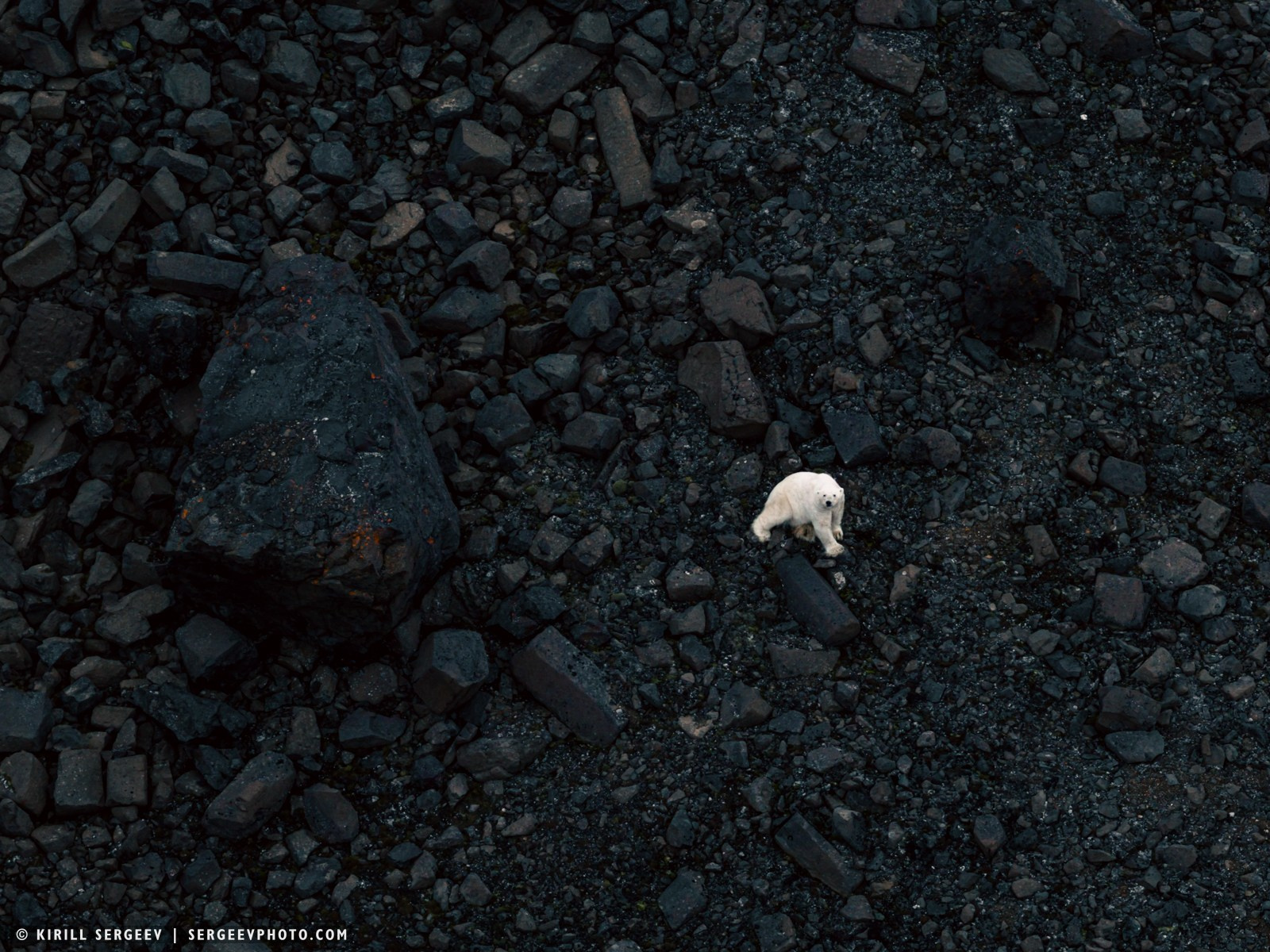 北極奧德賽. 攝影師 基里爾·謝爾蓋耶夫 |莫斯科