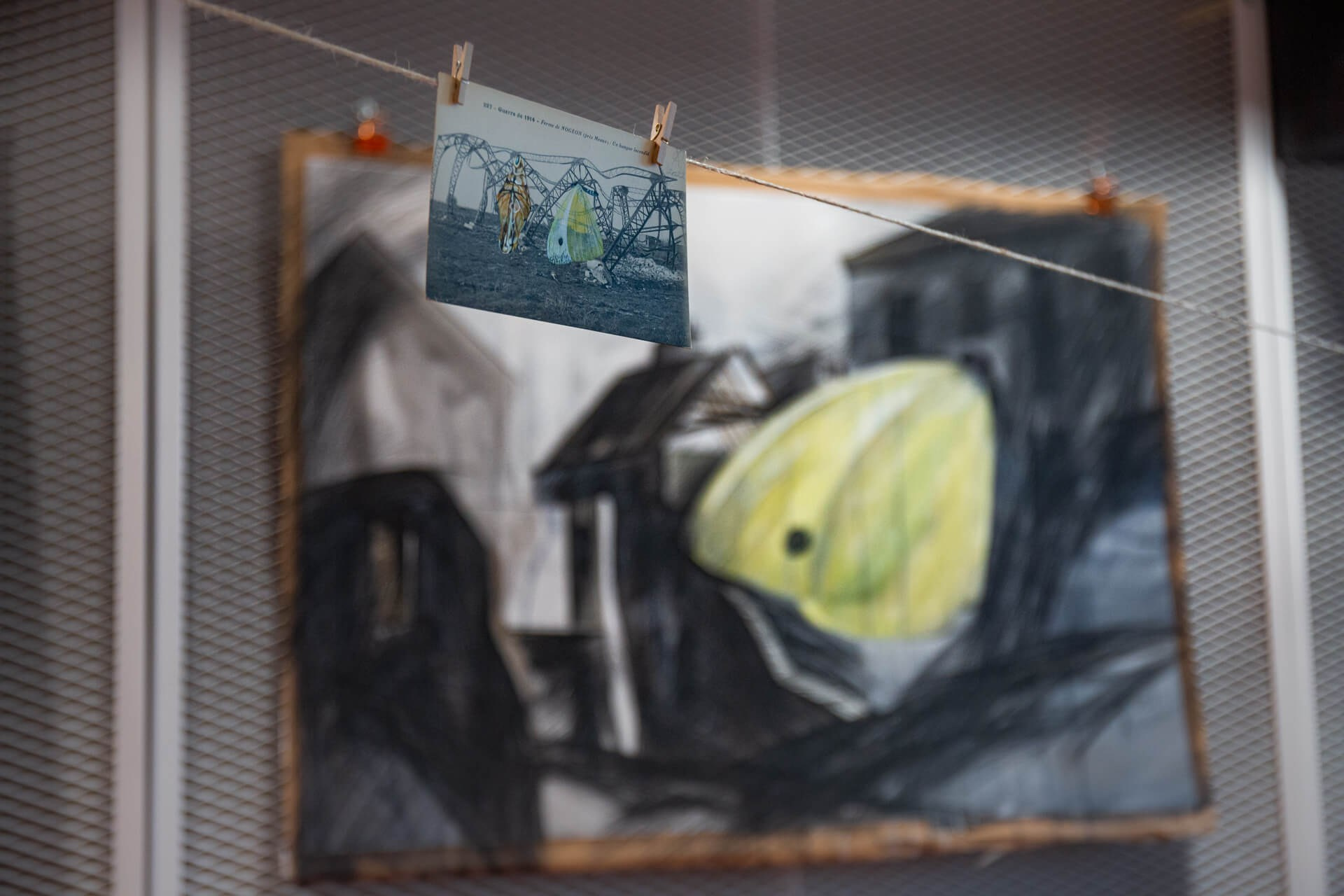 Secret Birds of the W-City (2022). Xenia Ostrovskaya