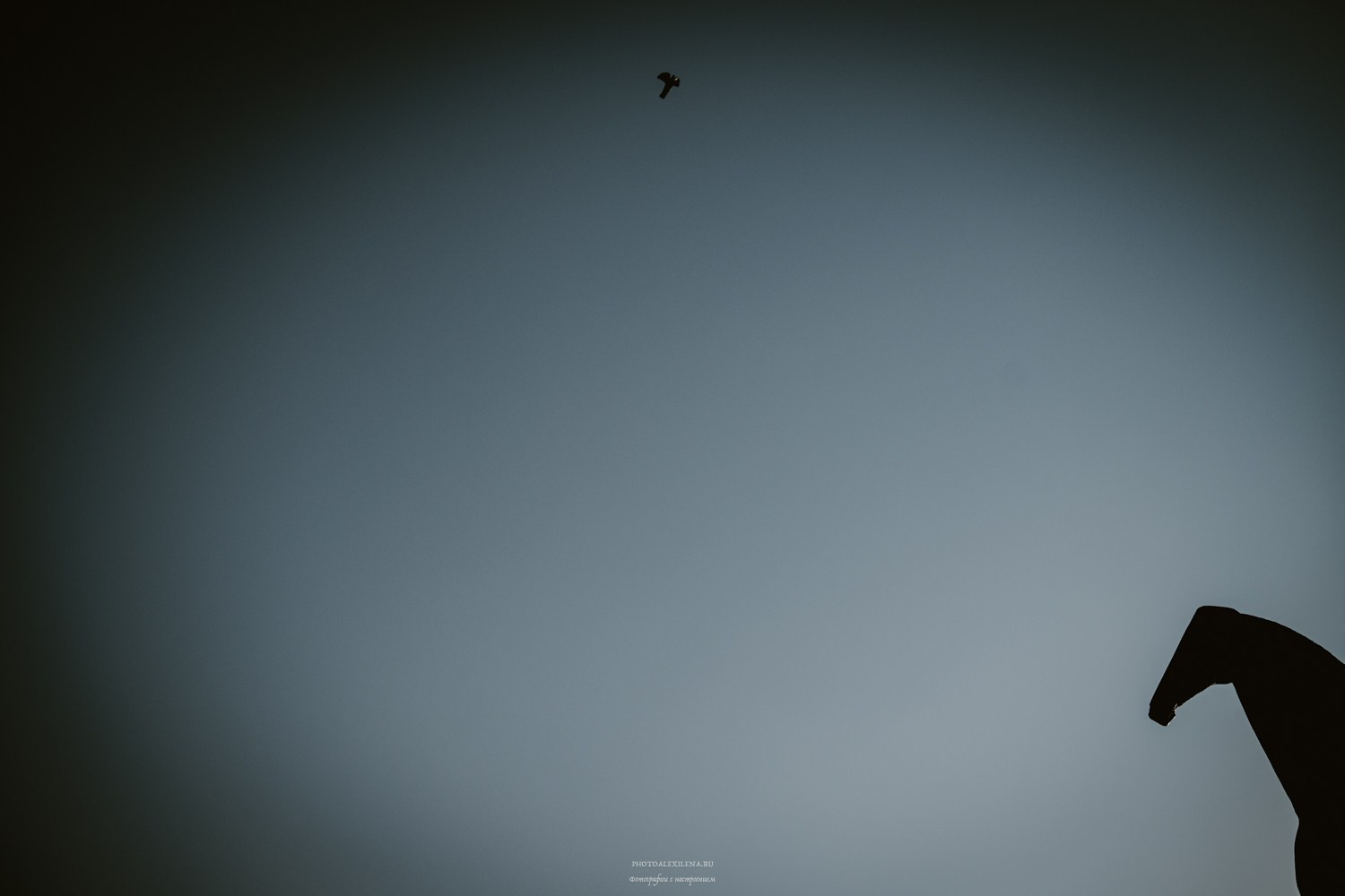 Vittoriale degli Italiani-Бывшая резиденция Габриеле Д’Аннунцио. Авторские стильные фотокартины