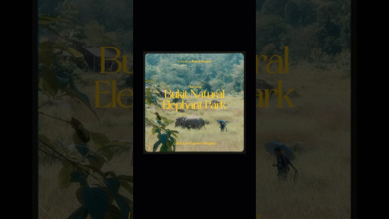 Filming life. POLINA MÔMOT