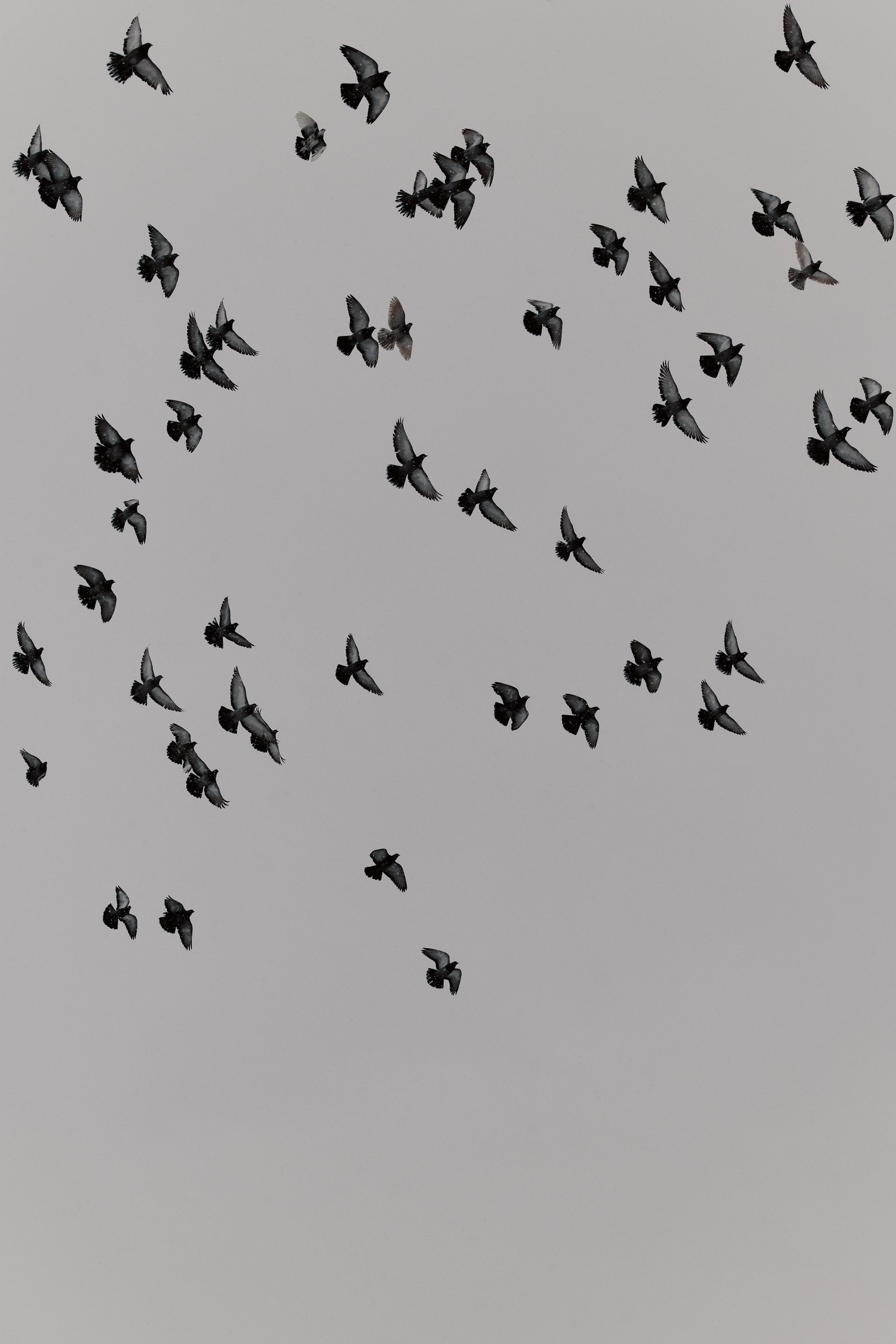 Фотографирую стиль