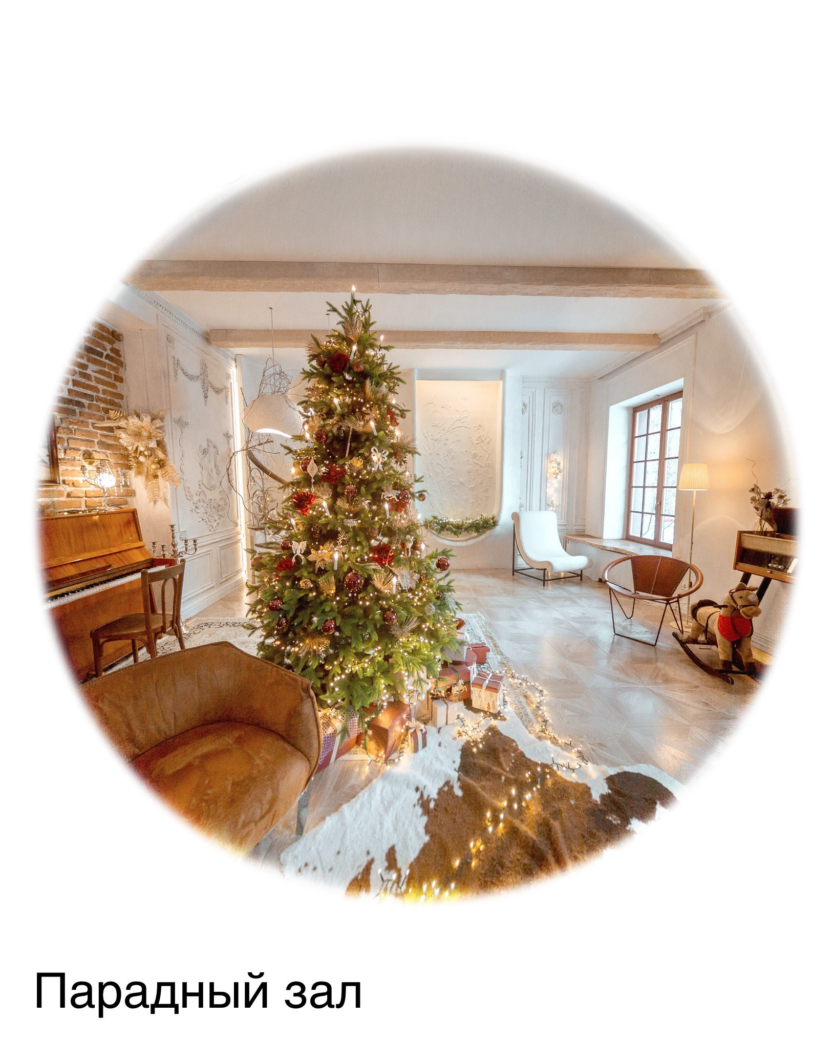 Фотостудии. Евгений Щетников Фотограф-Тюмень