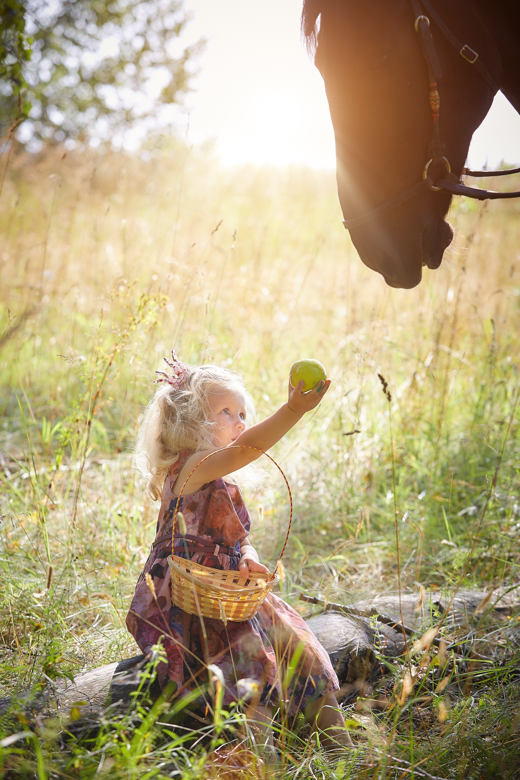Фотосессия с лошадьми Фотограф Михаил Семенов, г. Ярославль