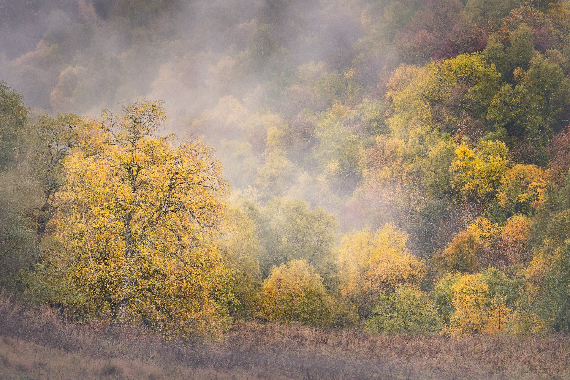 Осеннее приэльбрусье 2026 | Фотограф Дмитрий Купрацевич. Дмитрий Купрацевич профессиональный пейзажный и travel-фотограф