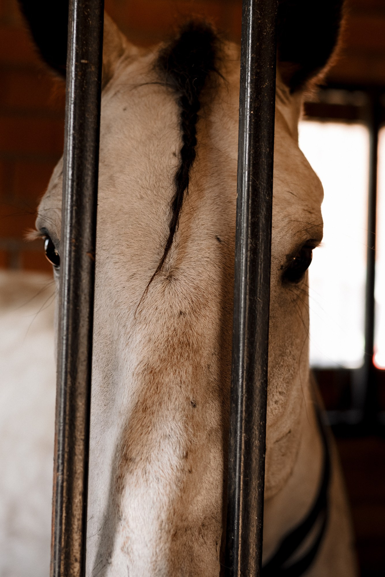 Фотопроект Женя, женский портрет в Тюмени. Портретный фотограф Тюмень Дарья Мустафина