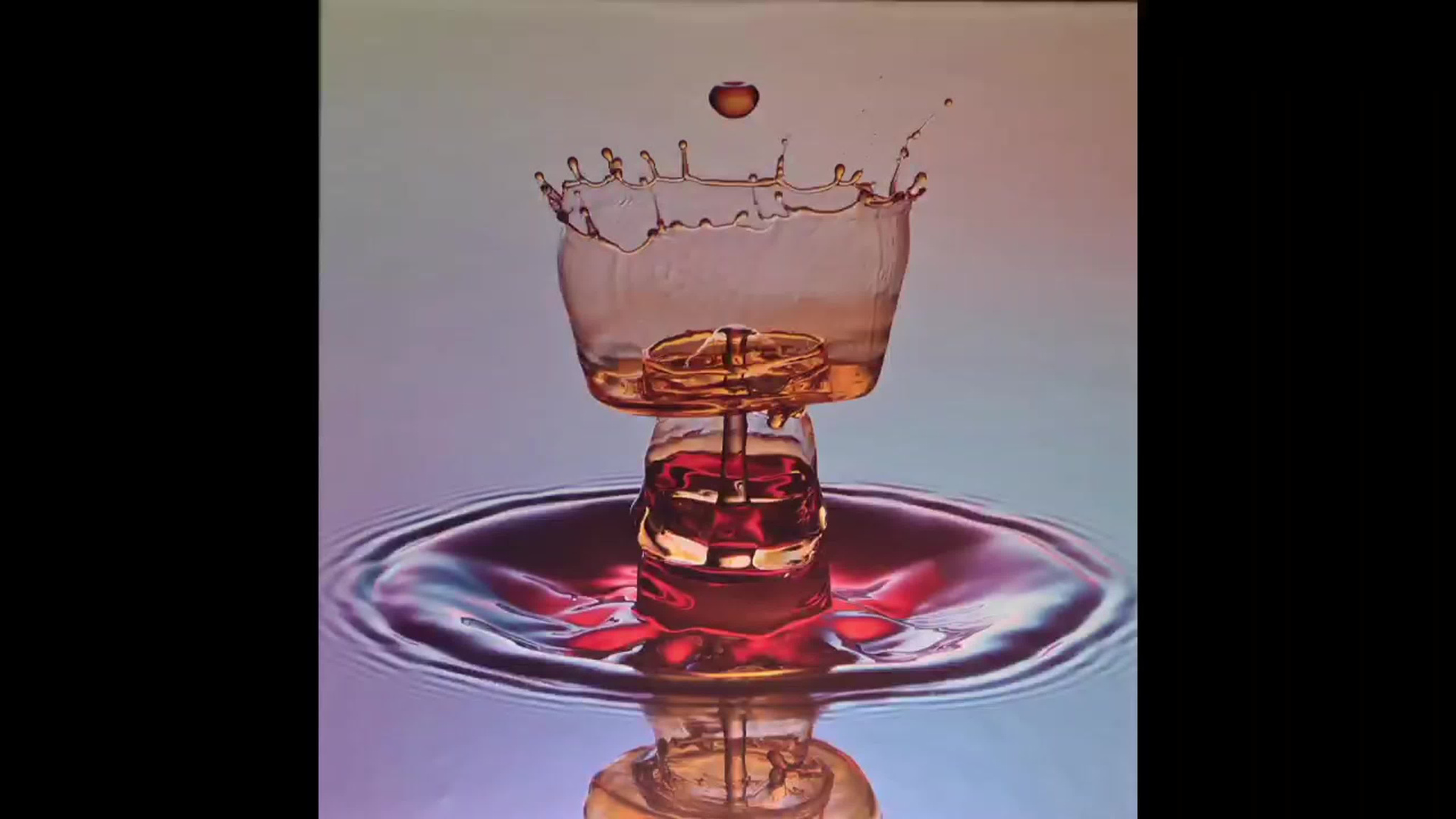 Скульптуры из воды Сергея Толмачева