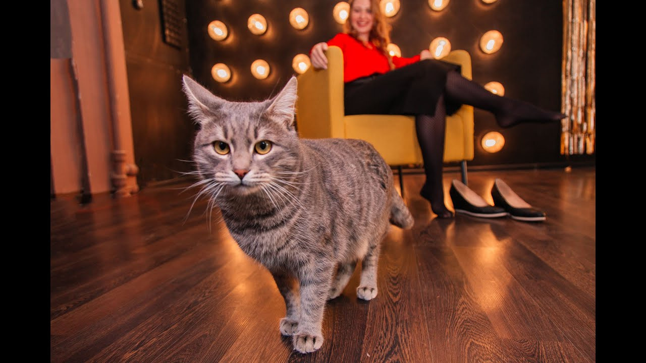 Фото-Видеосъемка любых мероприятий Москва Ростов