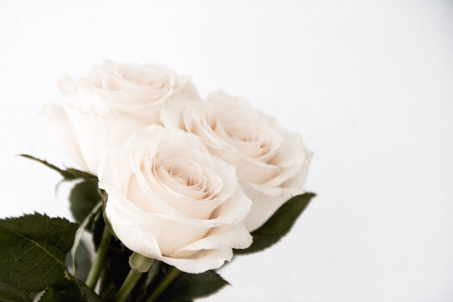 Юлия Паршихина, коуч и ментор женской реализации в жизни и деле