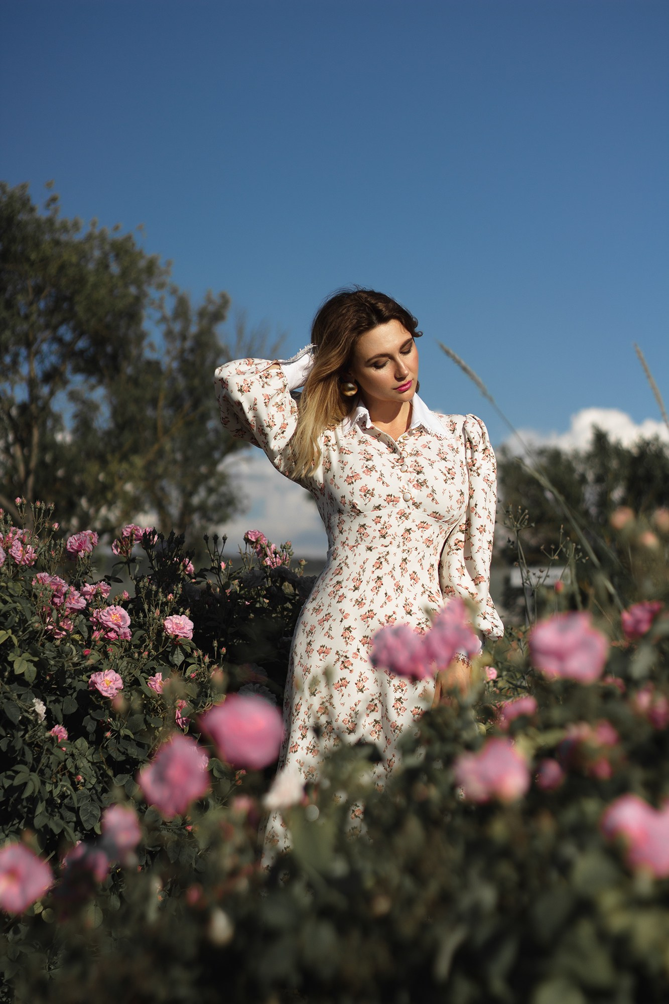 Розы в Крыму