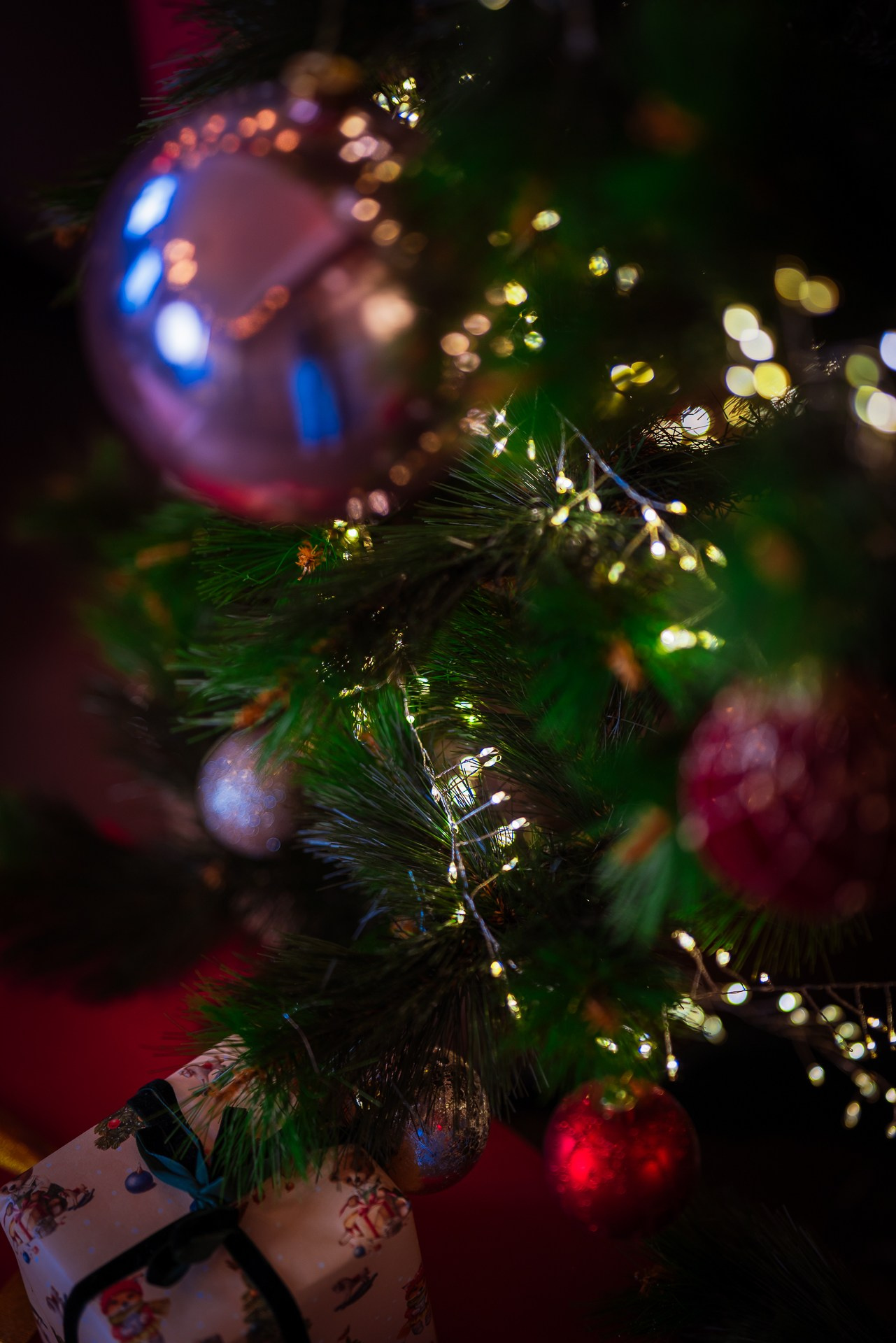 Фотостудия интерьерная в Туле — Давинчи |Davinci