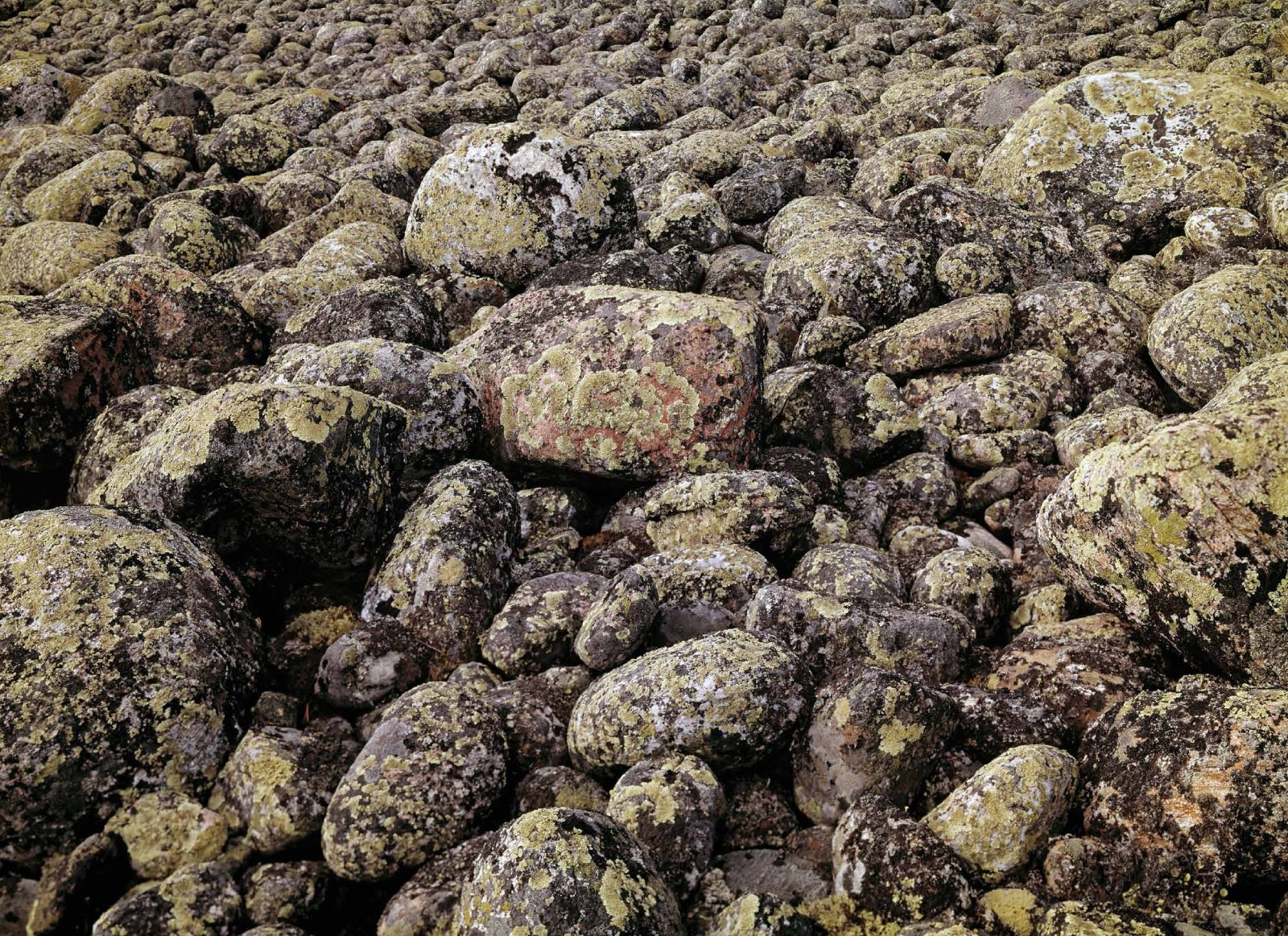 Коллекционные альбомы. ВАДИМ ГИППЕНРЕЙТЕР — ВЕЛИКИЙ ФОТОГРАФ ЗЕМЛИ РУССКОЙ