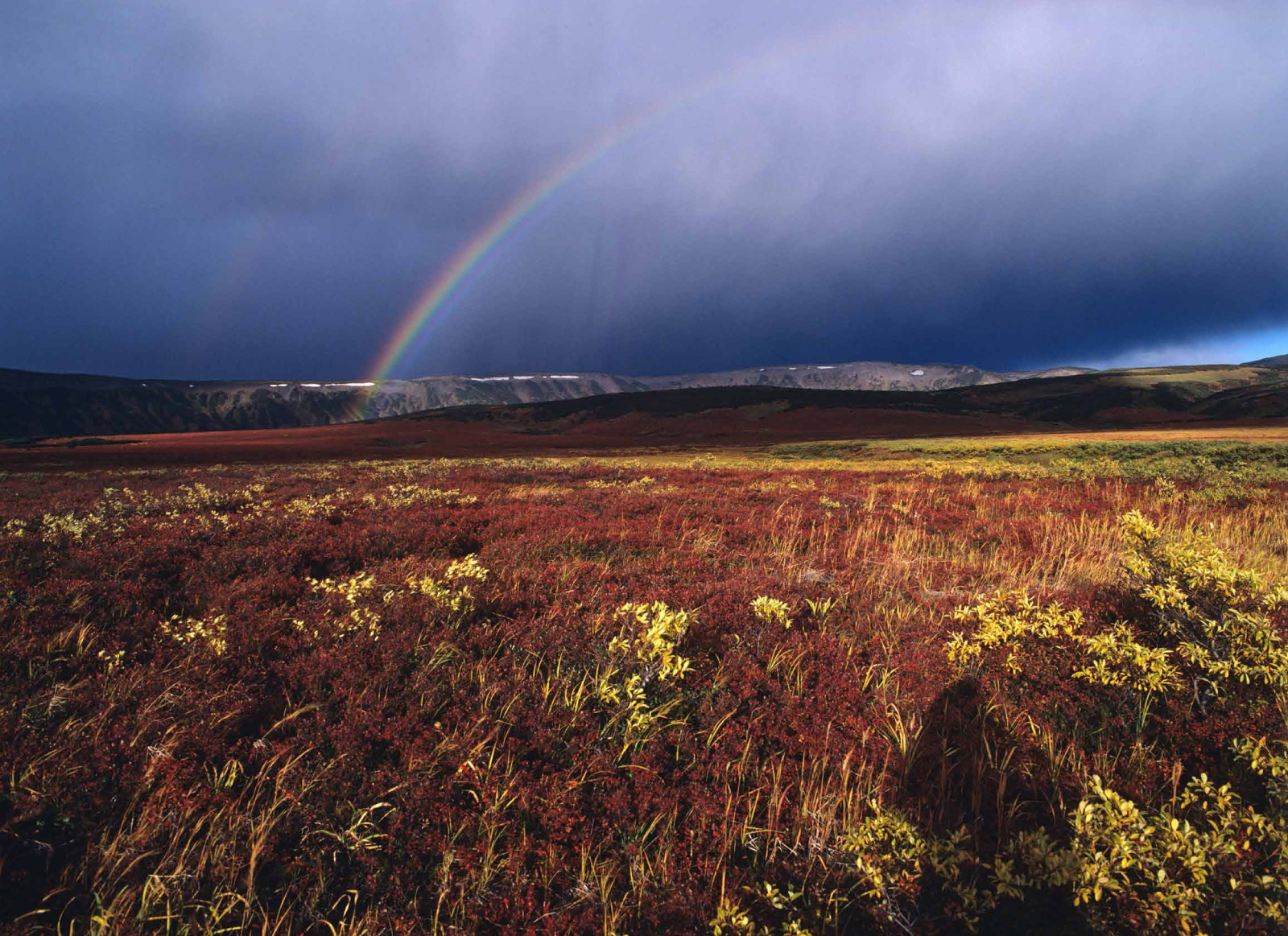 Коллекционные альбомы. ВАДИМ ГИППЕНРЕЙТЕР — ВЕЛИКИЙ ФОТОГРАФ ЗЕМЛИ РУССКОЙ