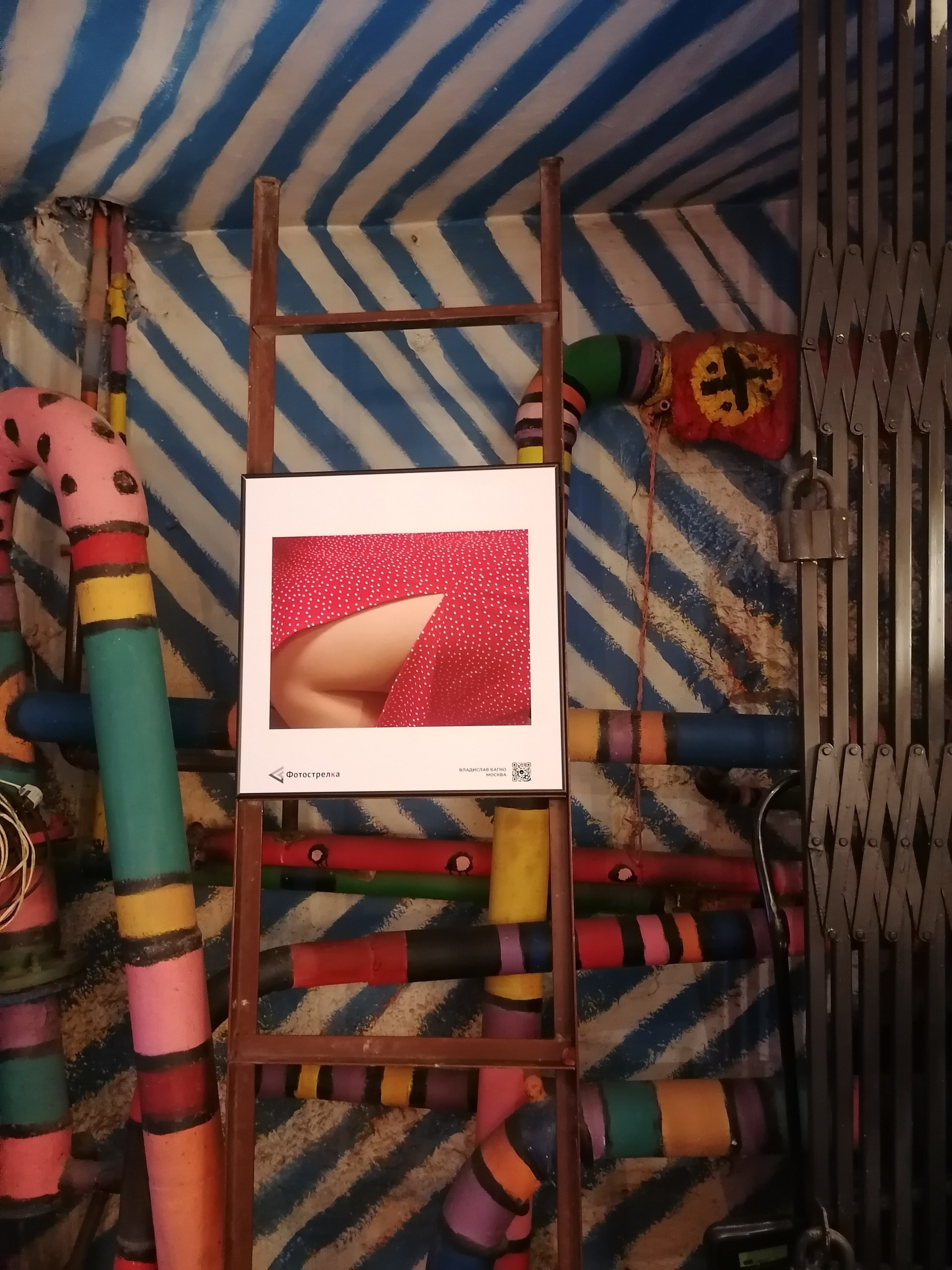 Красная в Новосибирске 8.08.25 — 26.10.25. Фотострелка