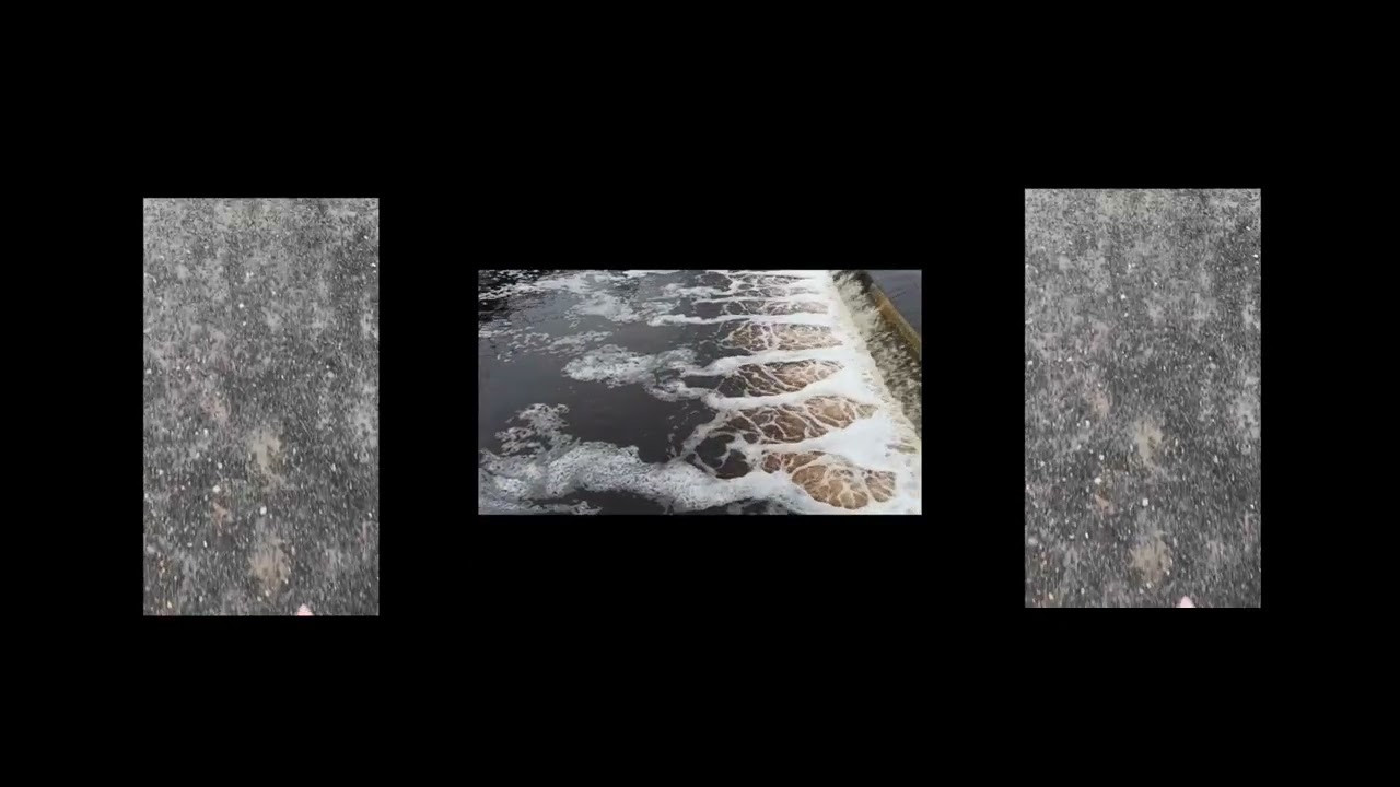 Зин и проект Что-то разбудило чудовищ. Козлова Екатерина. Междисциплинарная визуальная художница