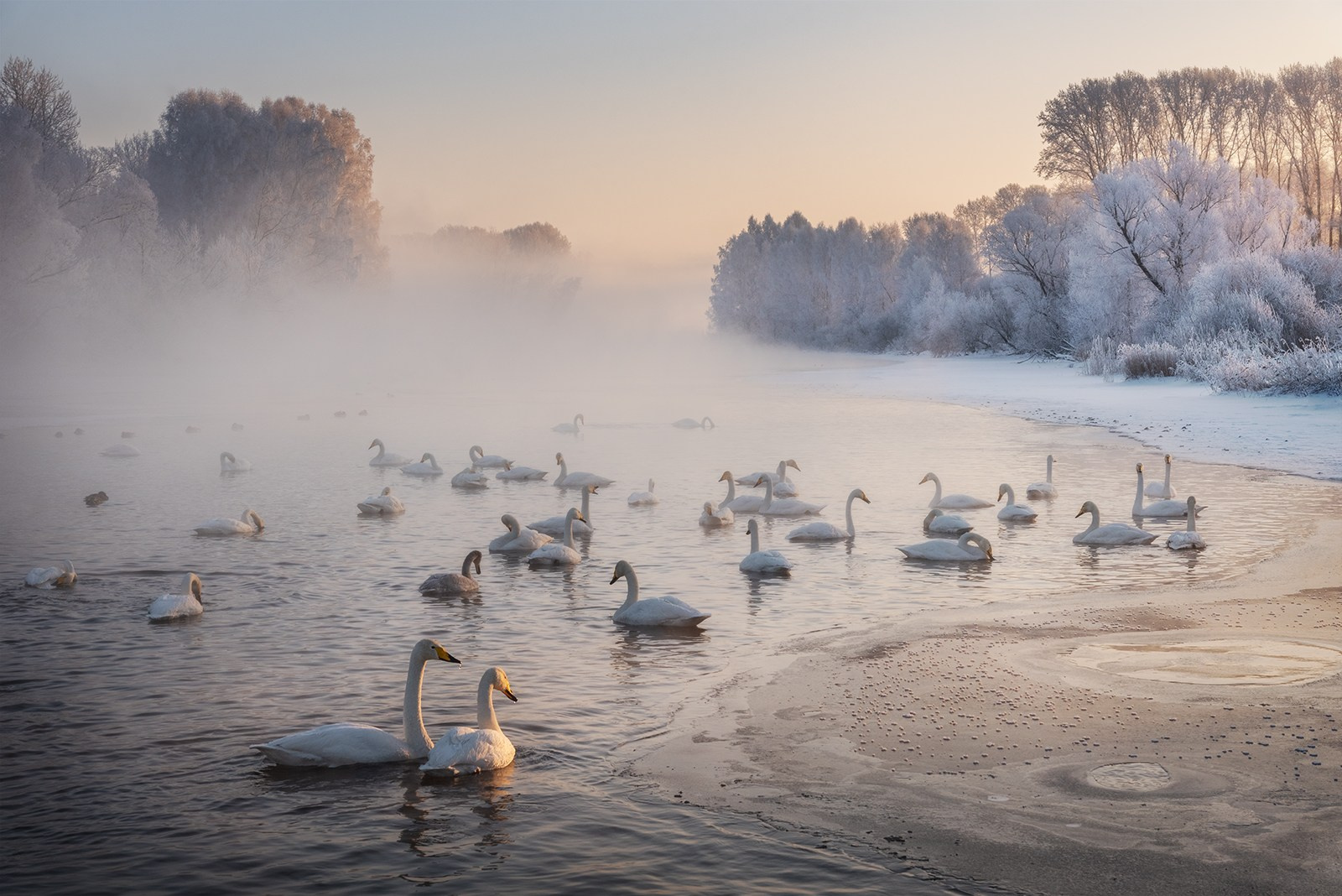 Пейзажи Алтайского края. Профессиональный пейзажный фотограф Алёна Рубан