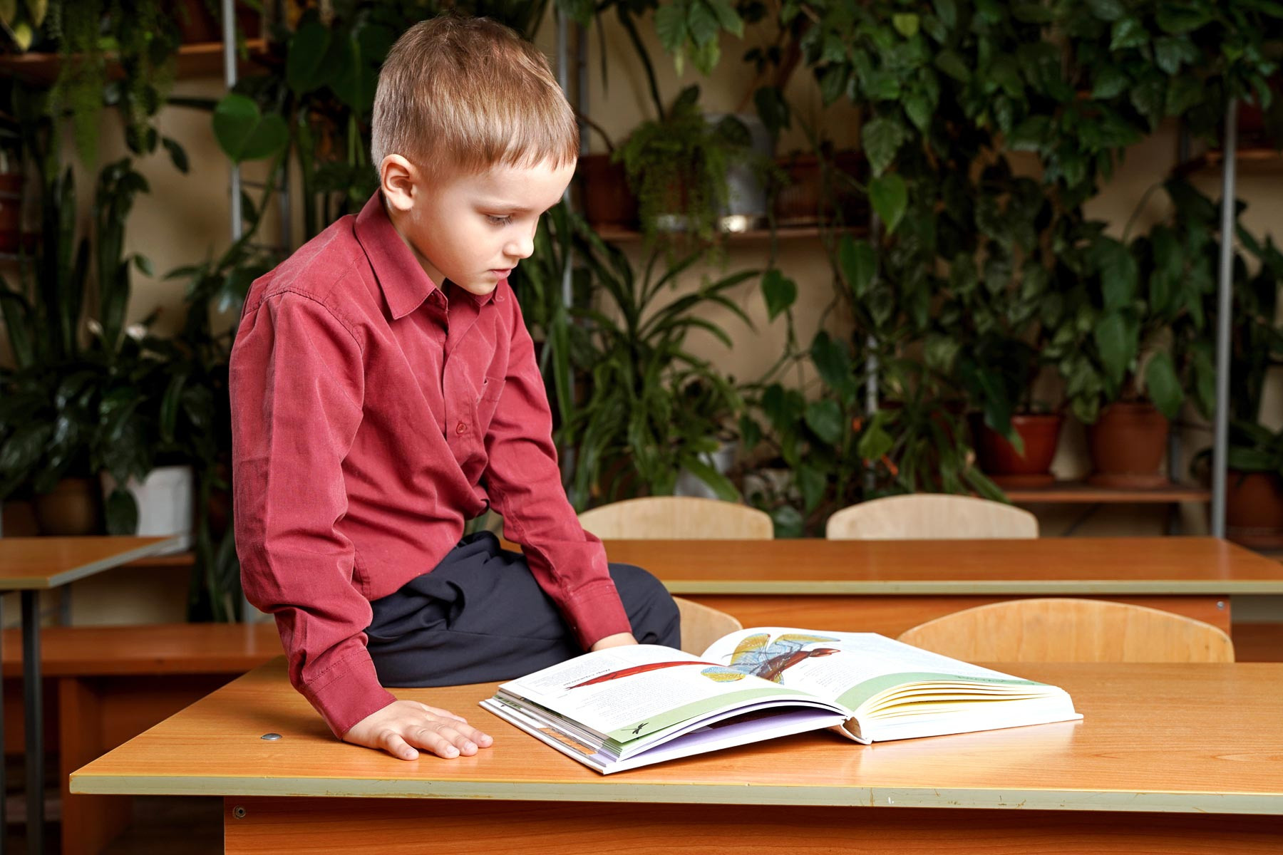 школьная фотосессия, школьники спб, выпускной альбом, школьный фотограф, фотограф спб, фотограф в школу, Санкт-Петербург, школьный альбом