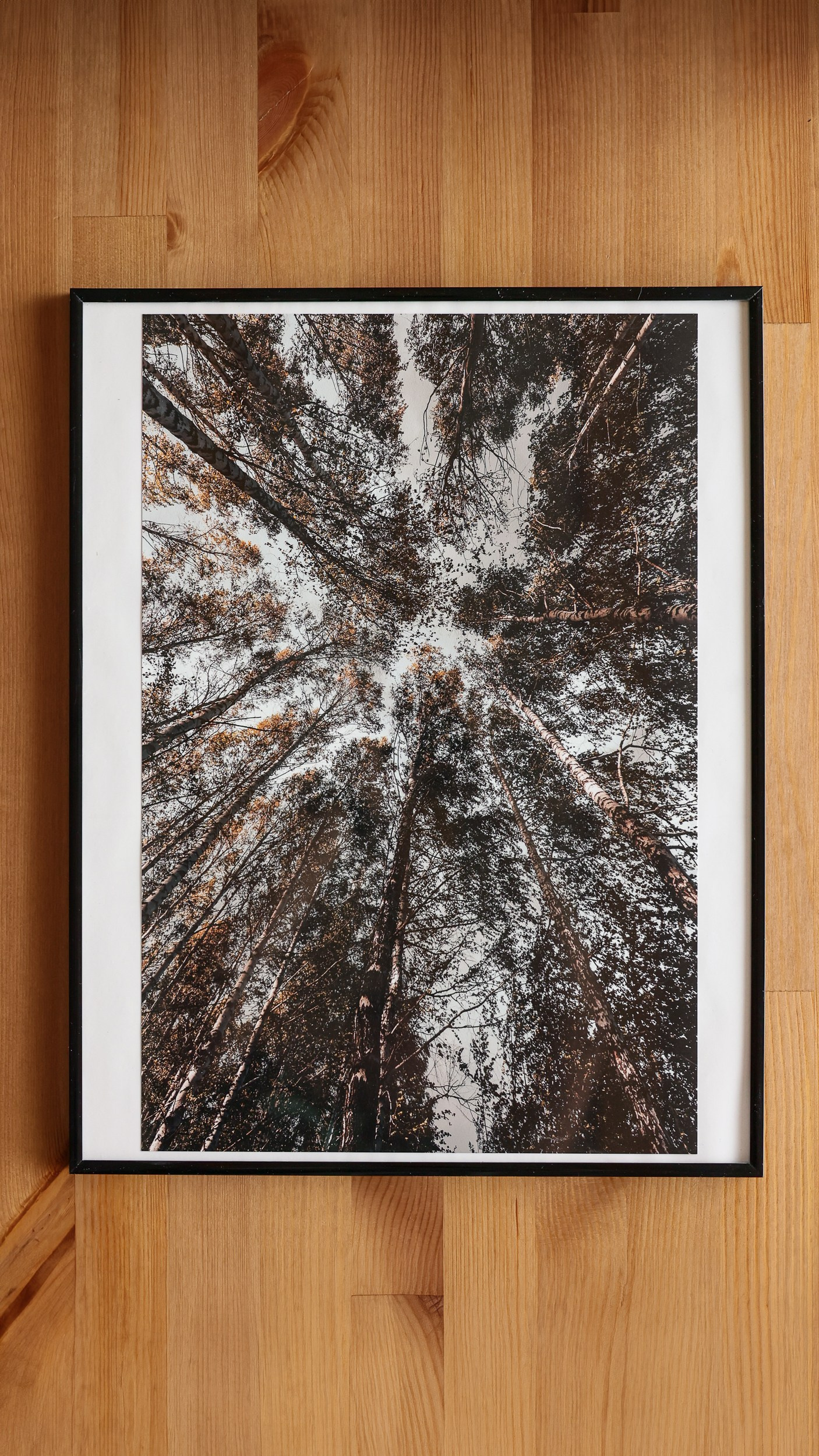 Картины. Фотограф Евграфов Александр