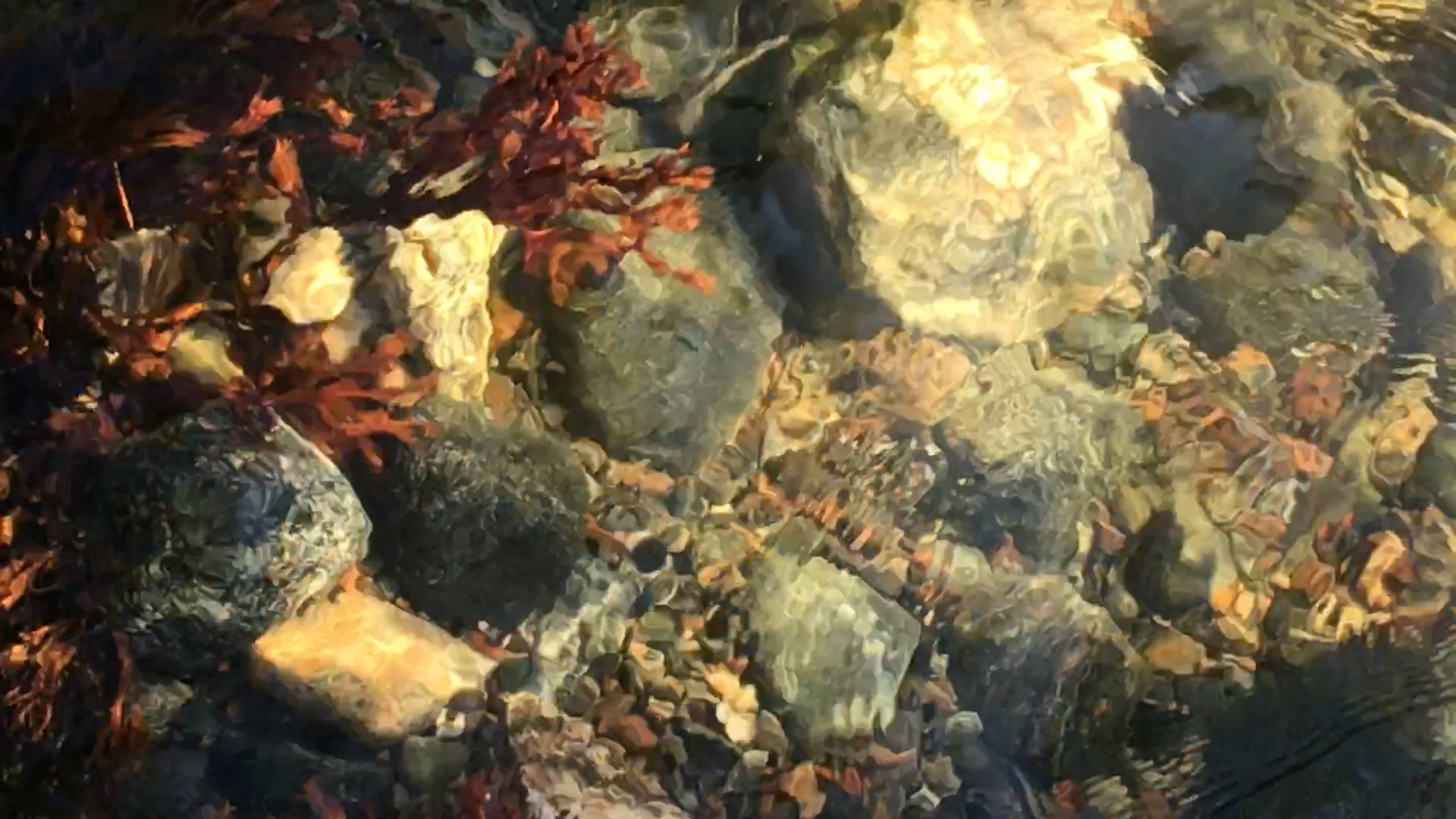 Белое море. Женя Красовская | Портретный фотограф | Визуал для брендов