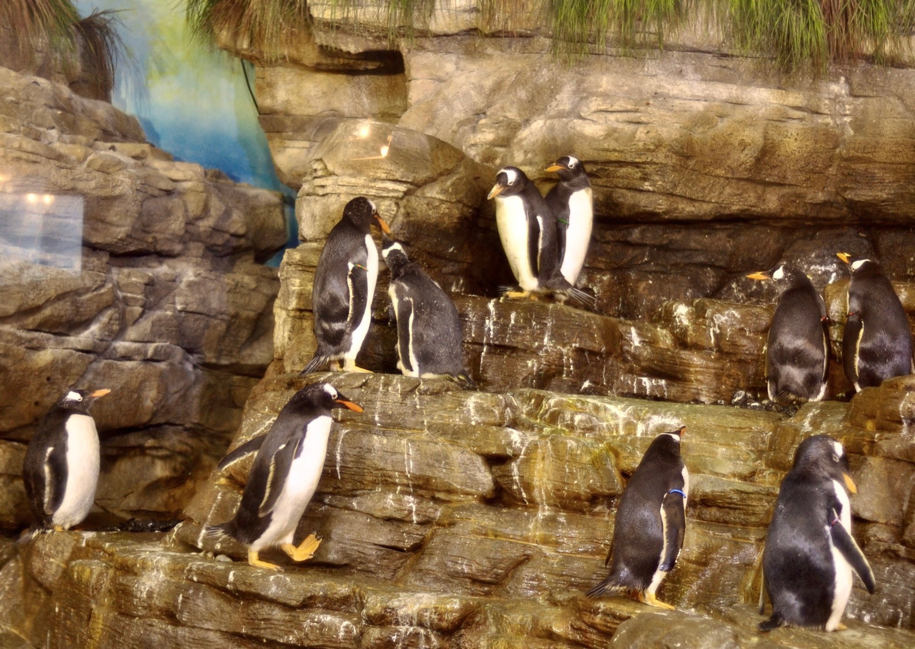 Океанографик в Валенсии