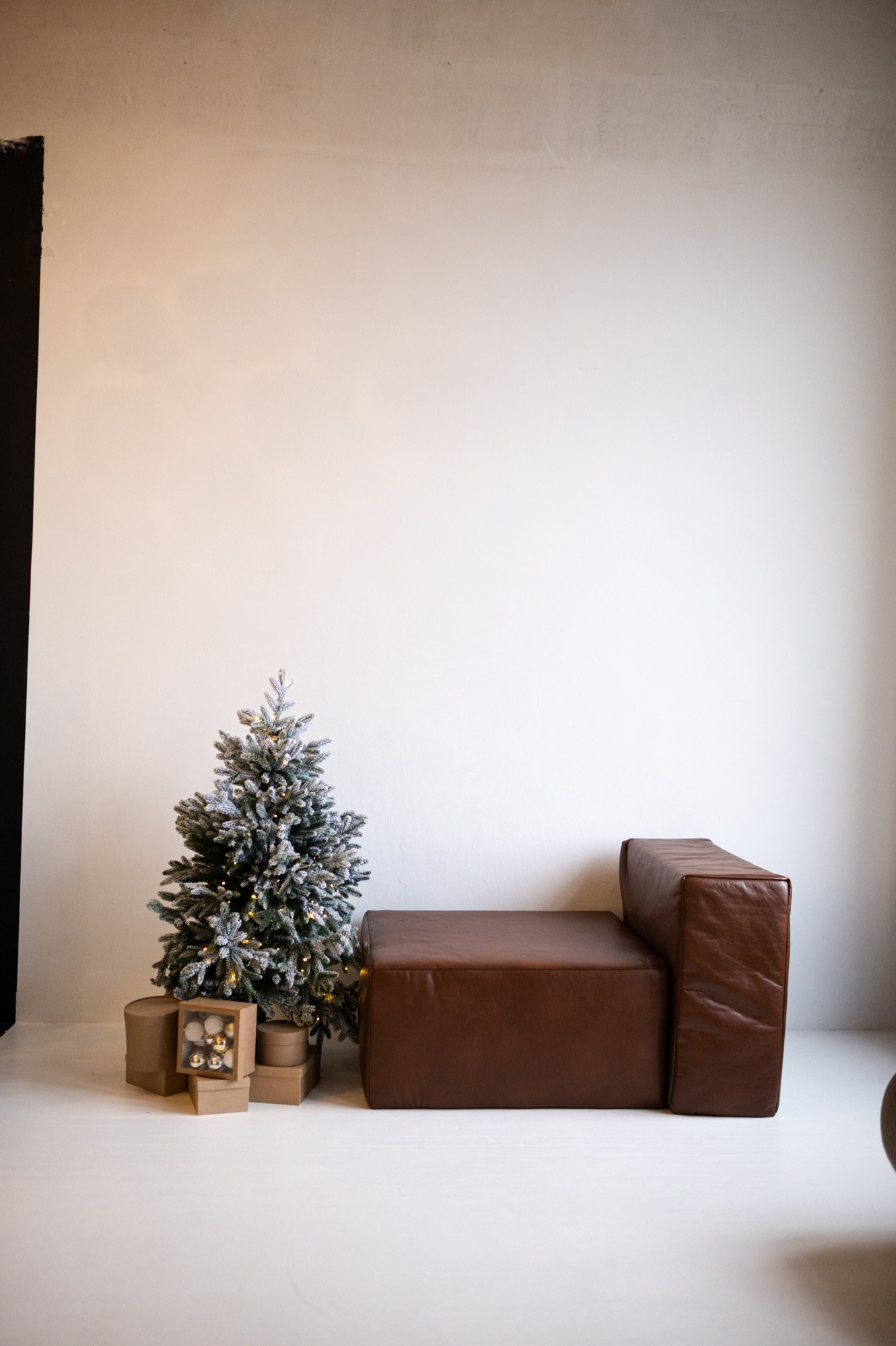 Фотостудии Брянска. Семейный фотограф в Брянске Александра Щербакова