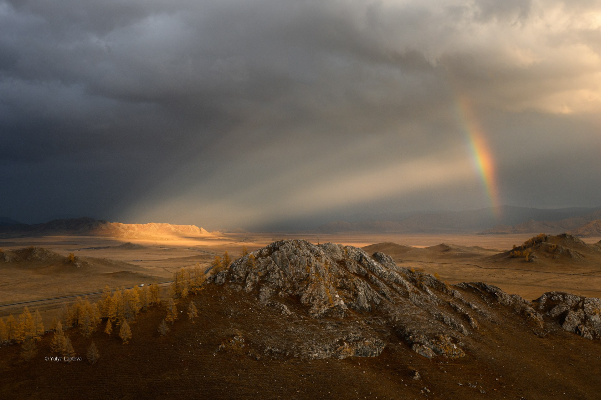 Юлия Шустерова