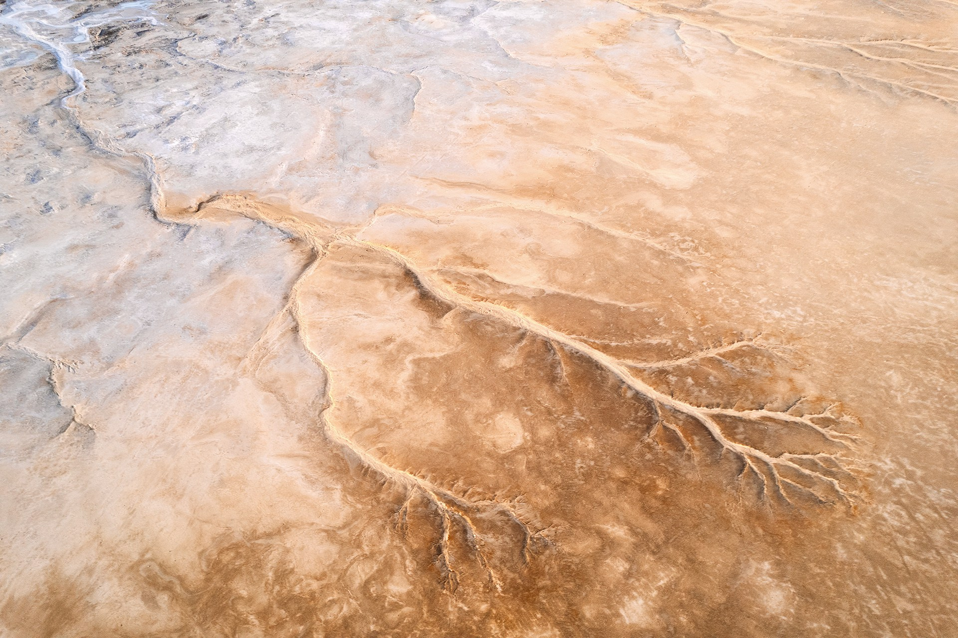 Волгоградская и астраханская области Весна 2026 | Фотограф Дмитрий Купрацевич. Дмитрий Купрацевич профессиональный пейзажный и travel-фотограф