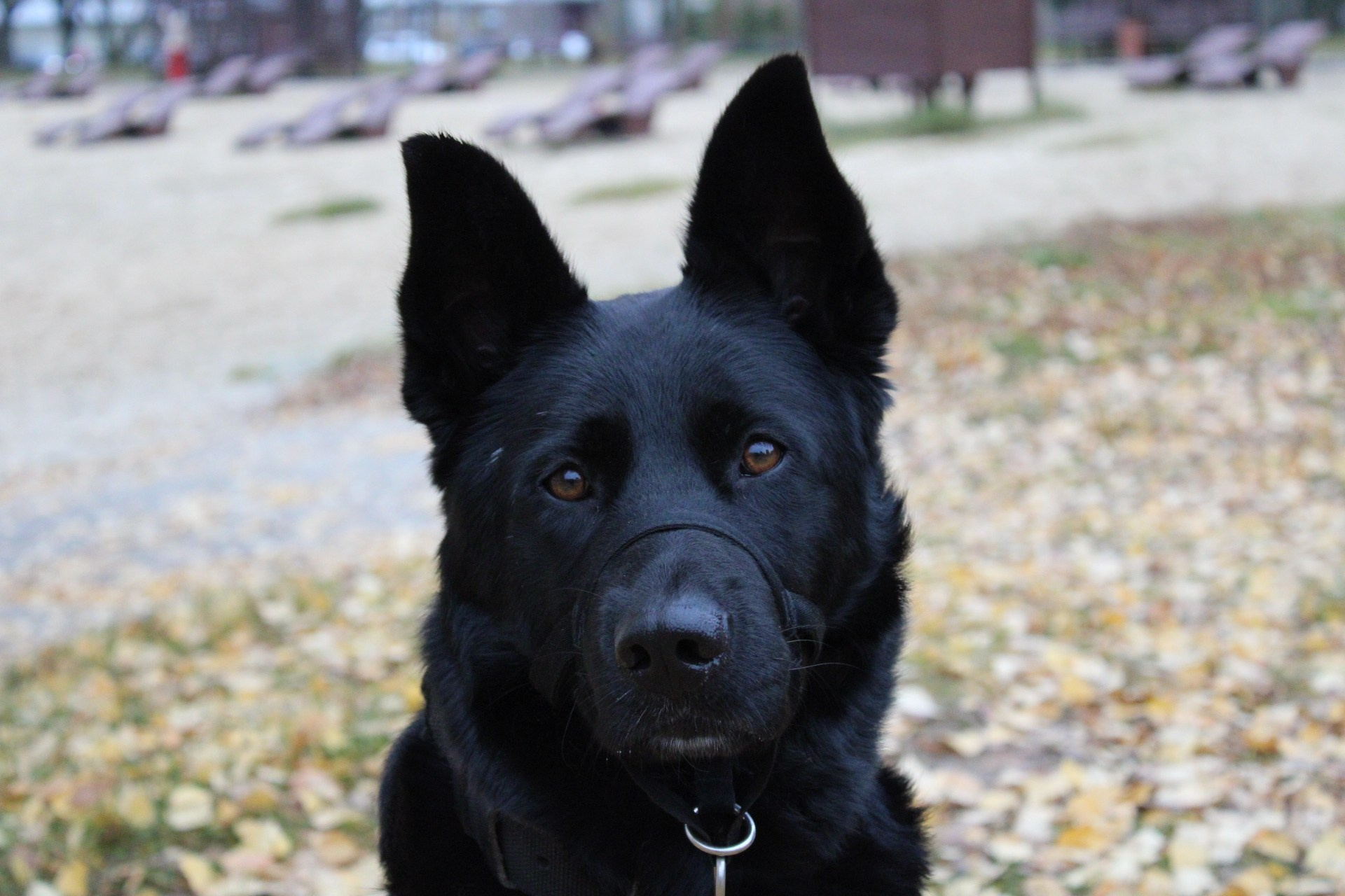 Катя Попова|ЛайфСтайл фотограф