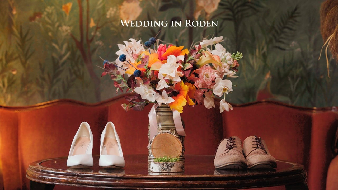 Клипы. Видеограф Profitrolli studio Москва, Тула. Создаем ваш свадебный фильм