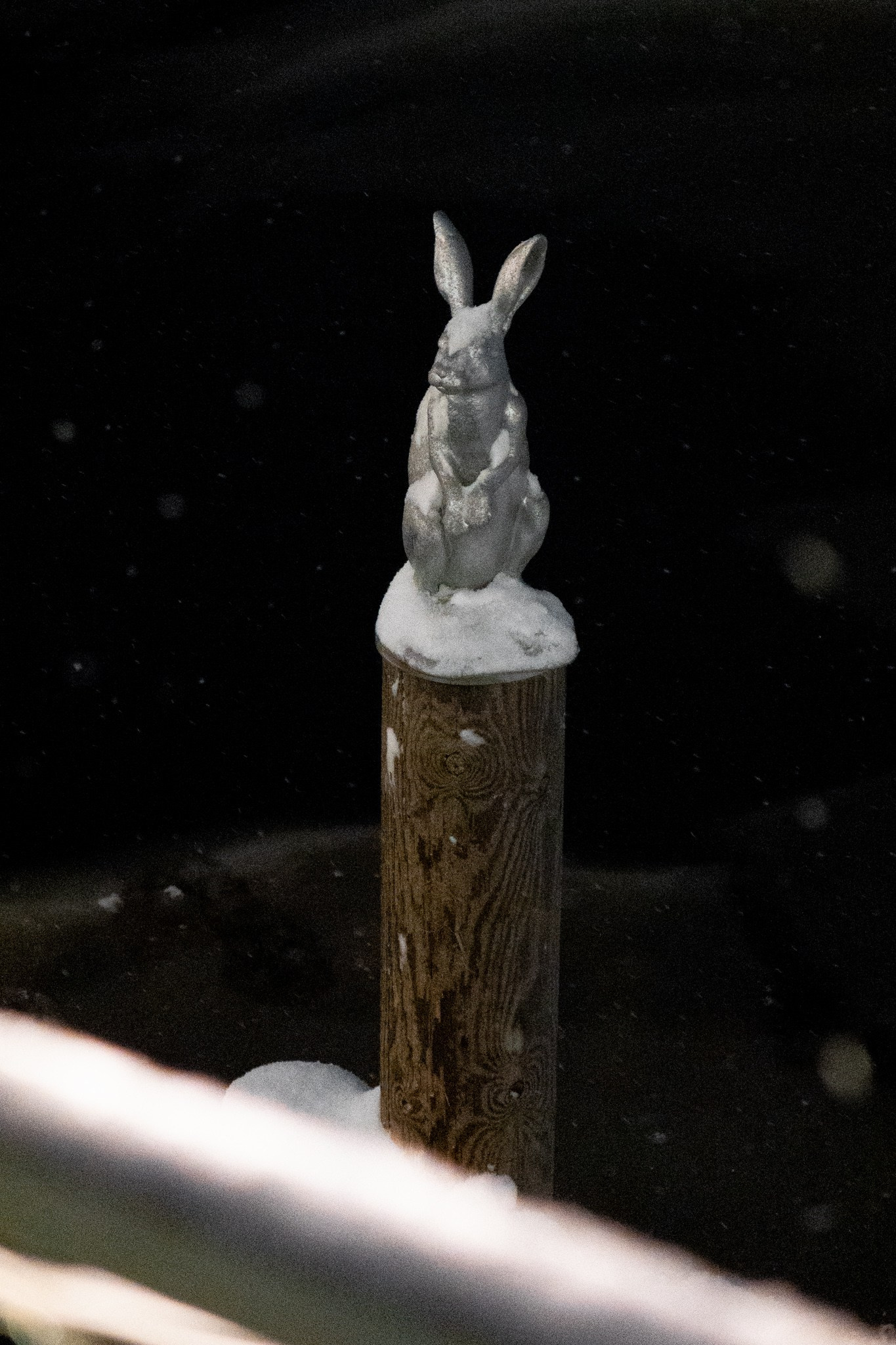 Новогодняя поездка в Санкт-Петербург. Павел Шарапов | Фотограф | Москва