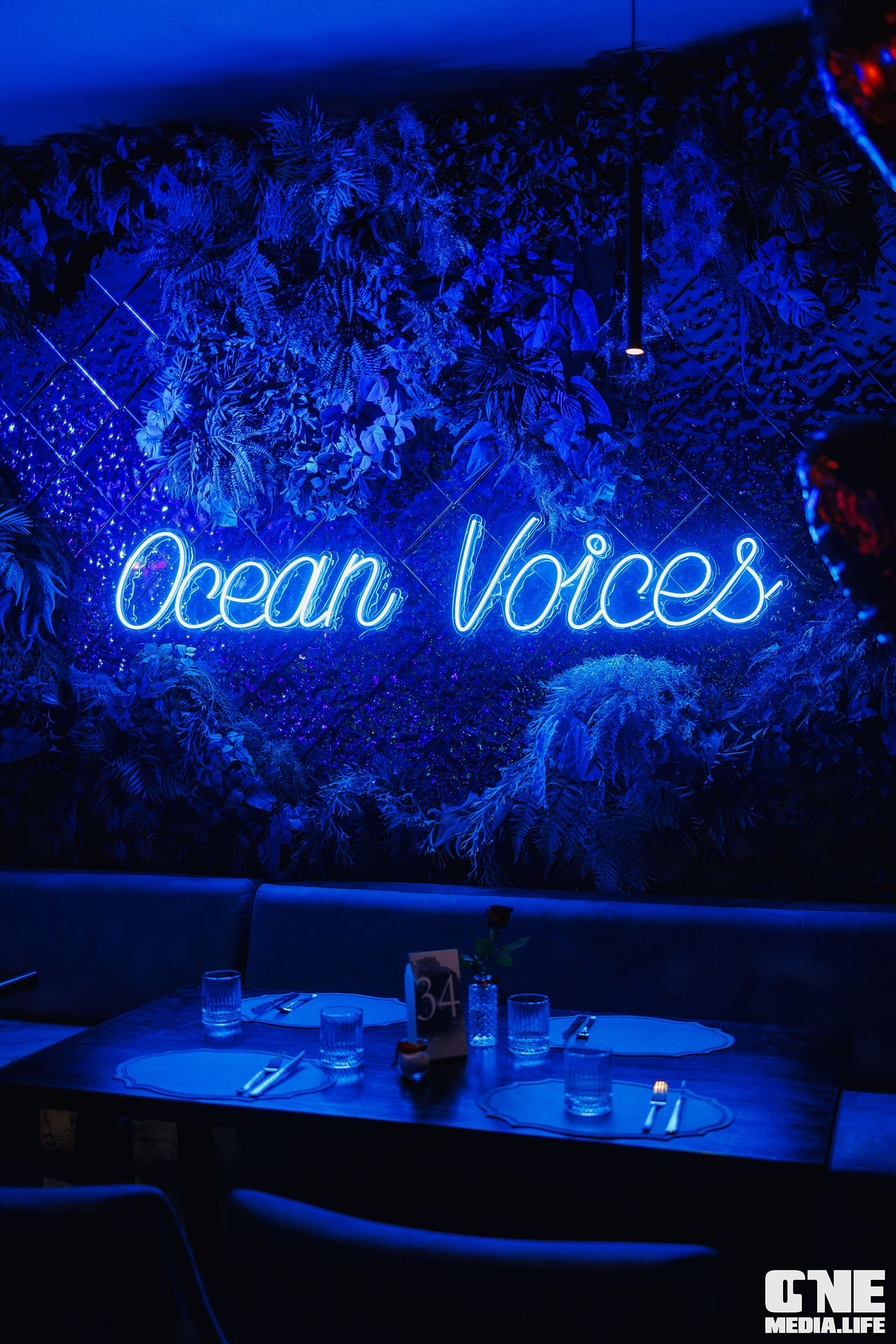 Фоторепортаж из ресторана Океан. One Media Life: фоторепортажи, фотоотчеты с мероприятий и заведений