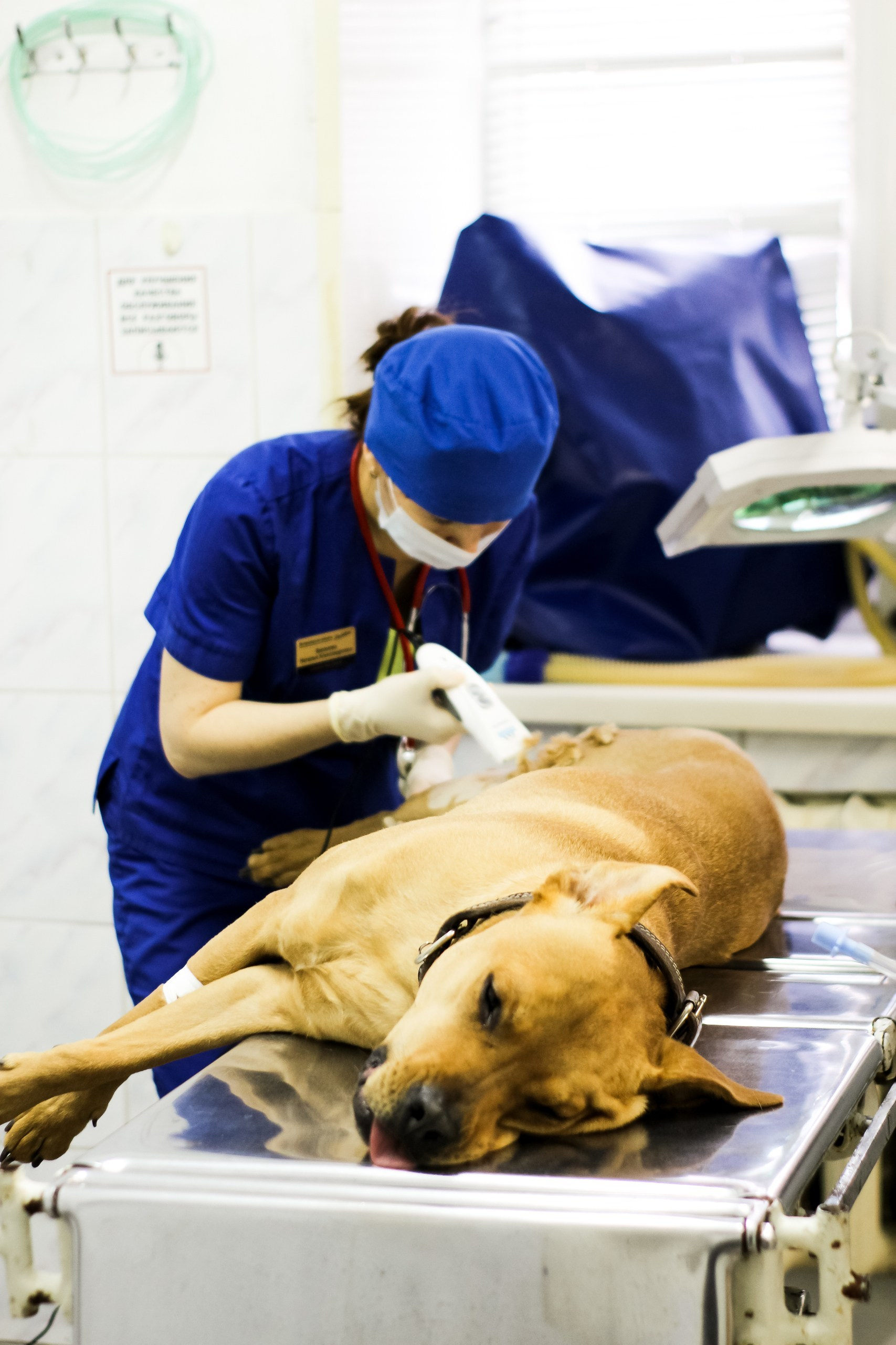 Контент съемка и предметная съемка для продвижения услуг бизнеса. Студия контента «СВОЕ МЕСТО»