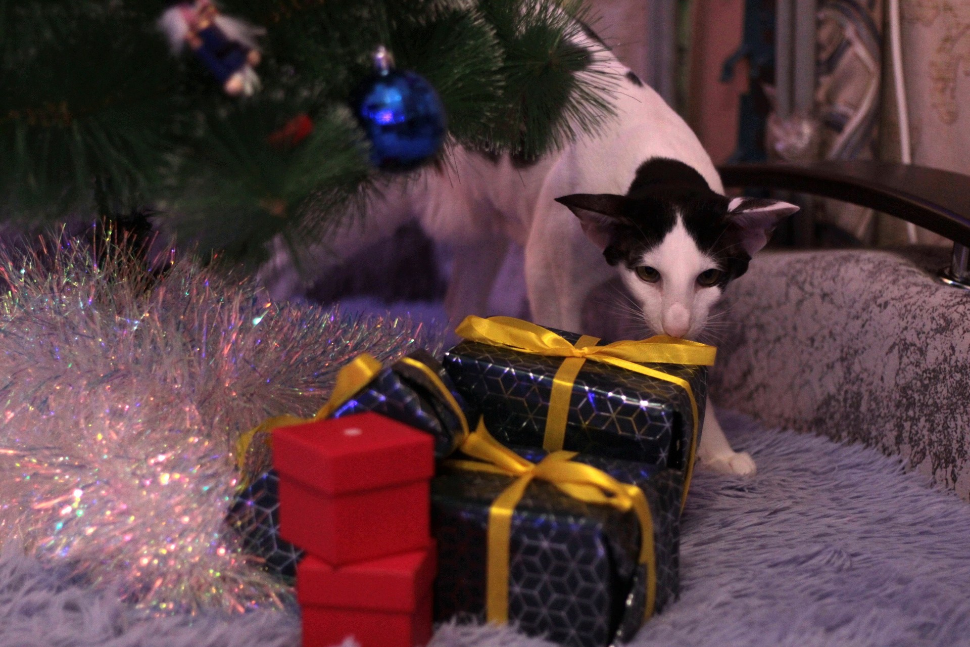 Катя Попова|ЛайфСтайл фотограф