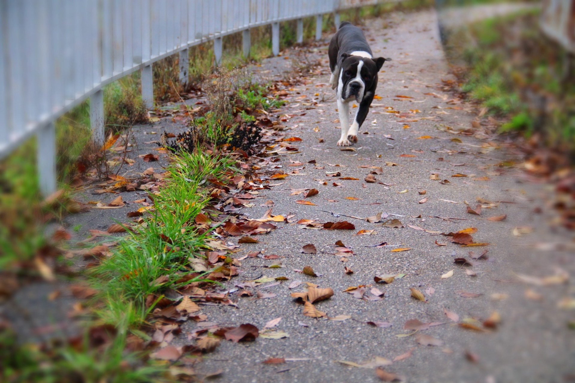 Катя Попова|ЛайфСтайл фотограф