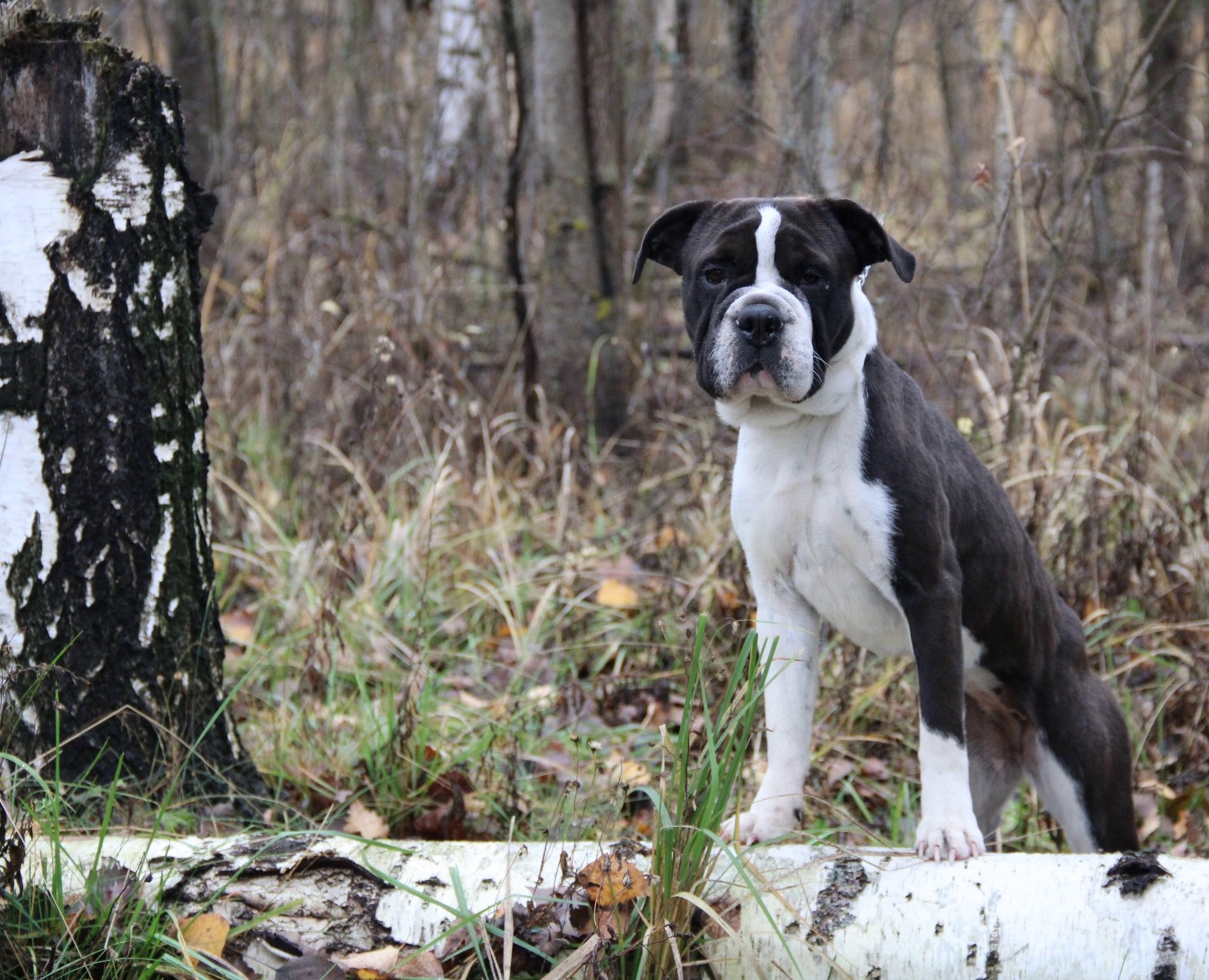 Катя Попова|ЛайфСтайл фотограф