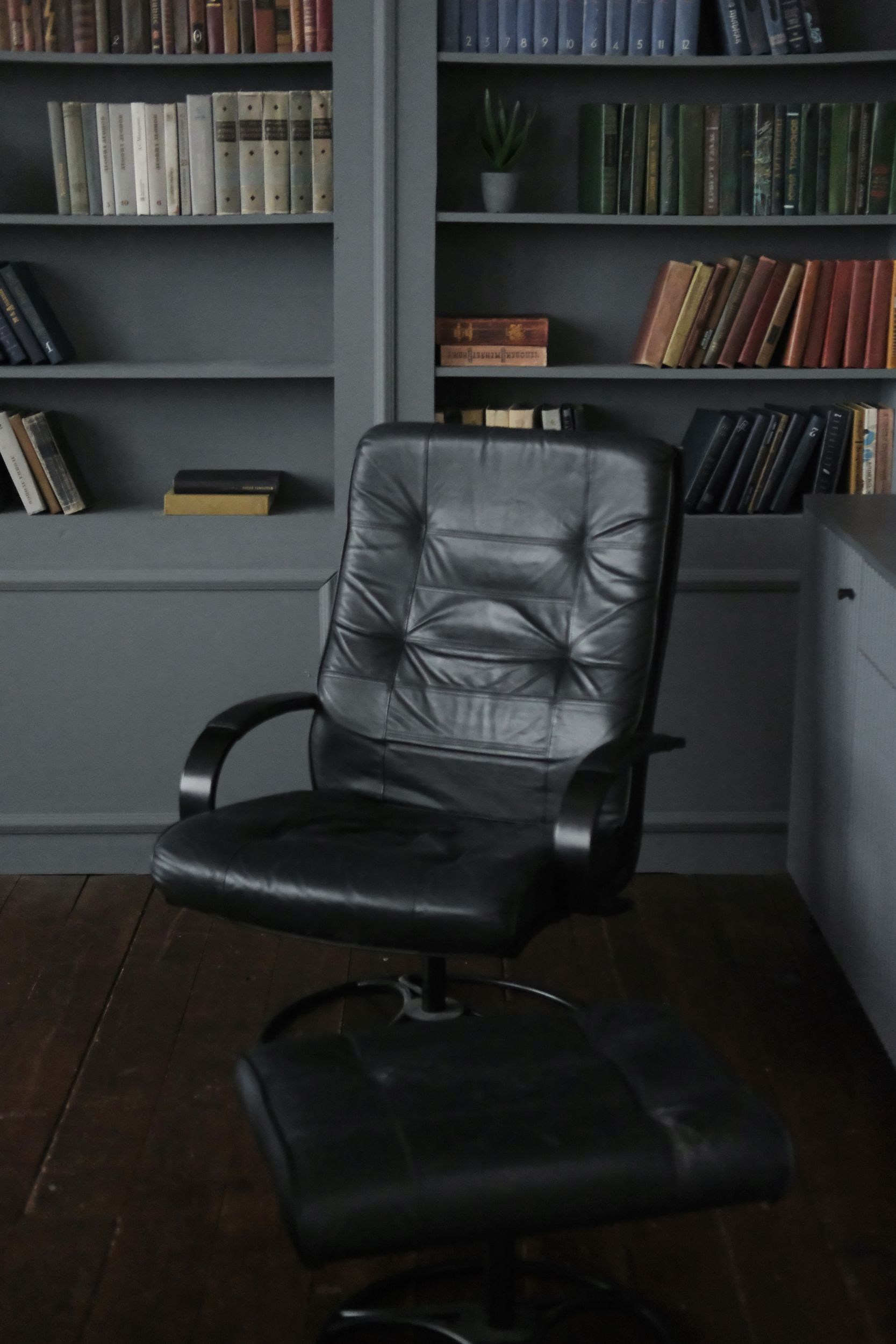 Фотостудии Калининград. Свадебный фотограф Калининград Пасюта Данила