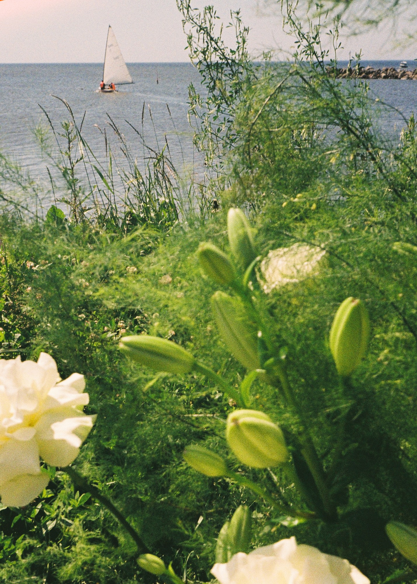 Свадебный и семейный фотограф и видеограф в Крыму | Алёна Межевова