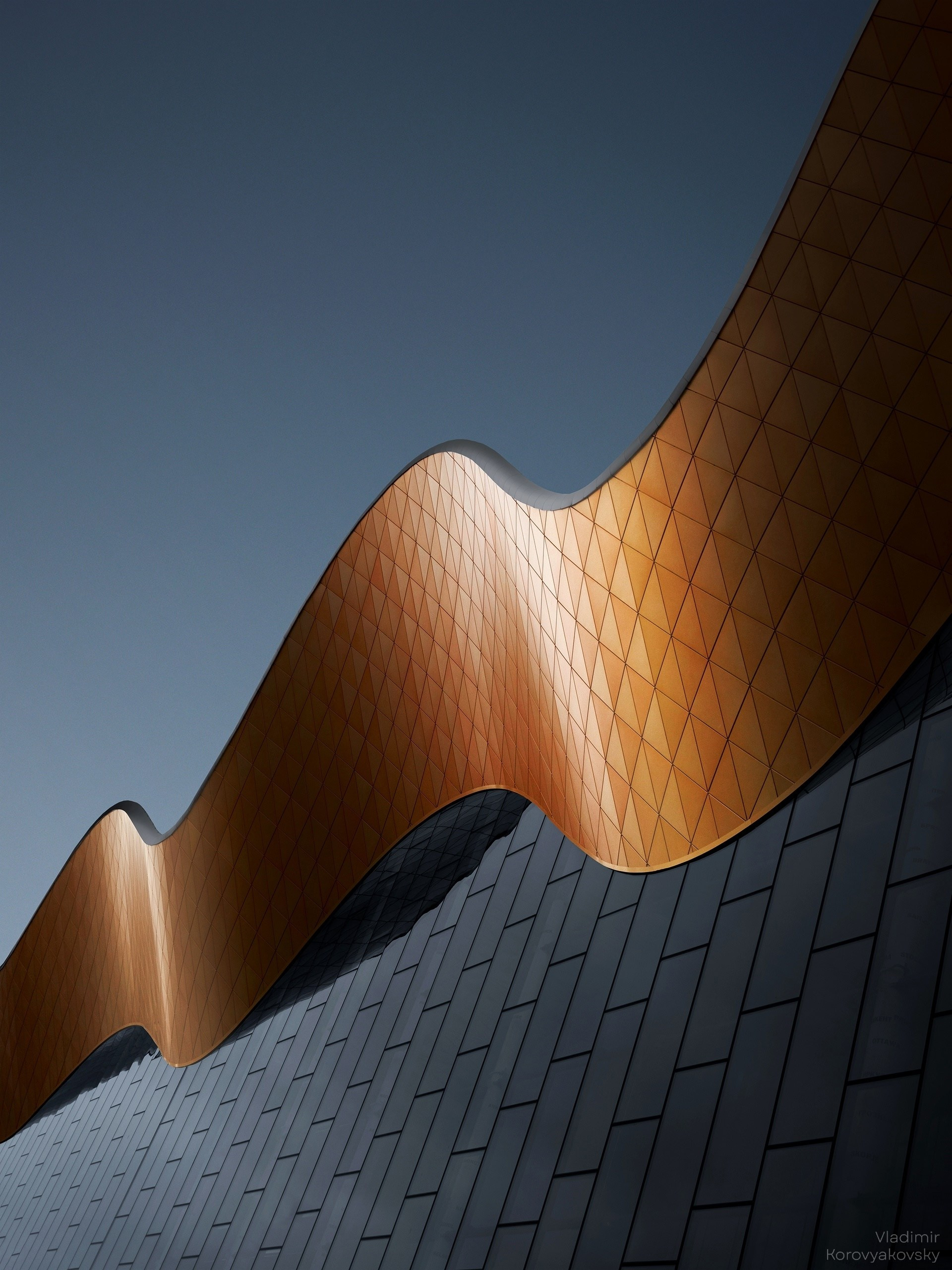 Fine-art фотография. Фотограф Владимир Коровяковский