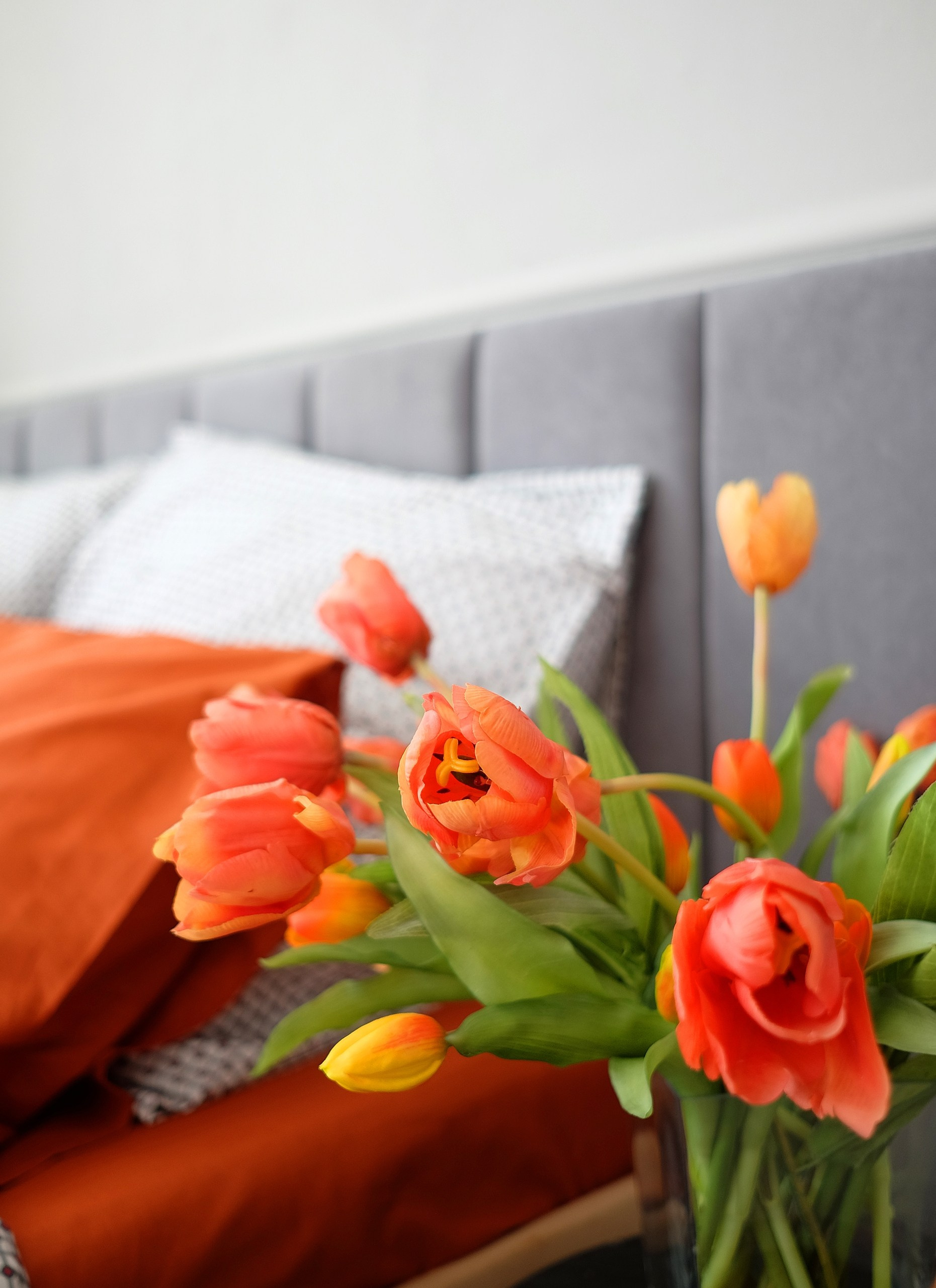 BONJOUR (Зал «Дубль»). Семейный и свадебный фотограф в Воронеже Майя Добровольская