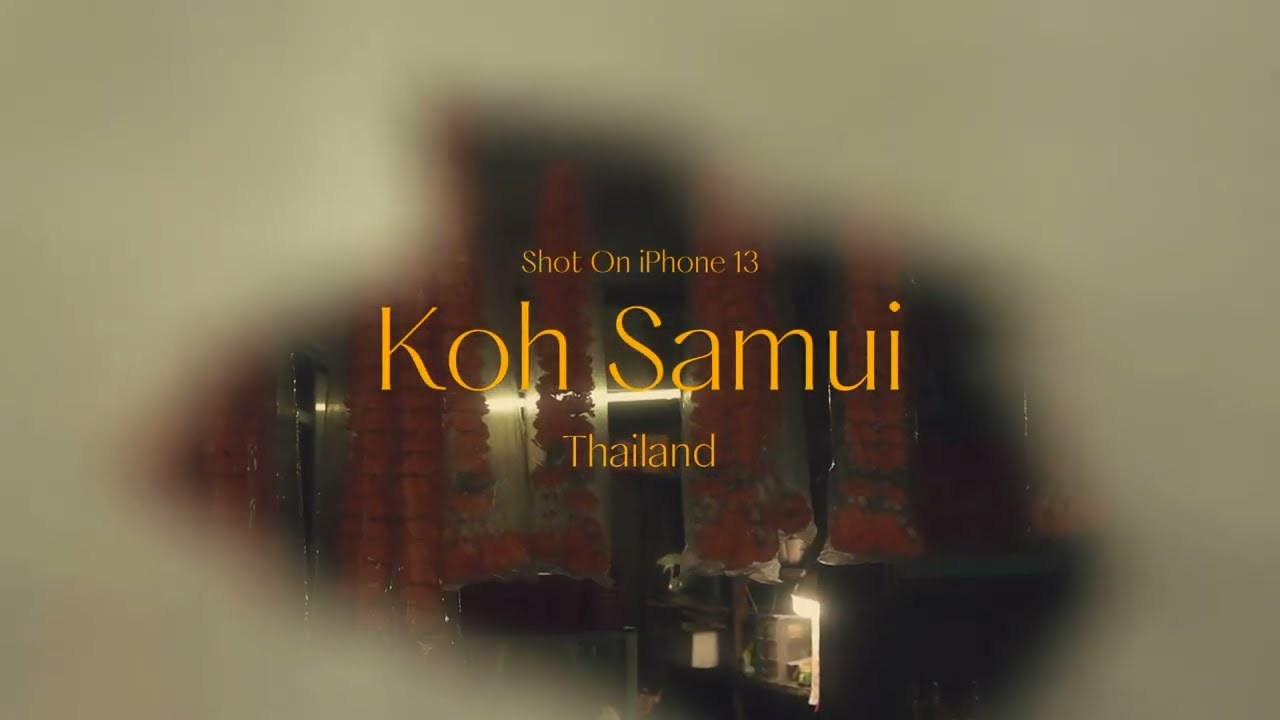 Filming life. POLINA MÔMOT