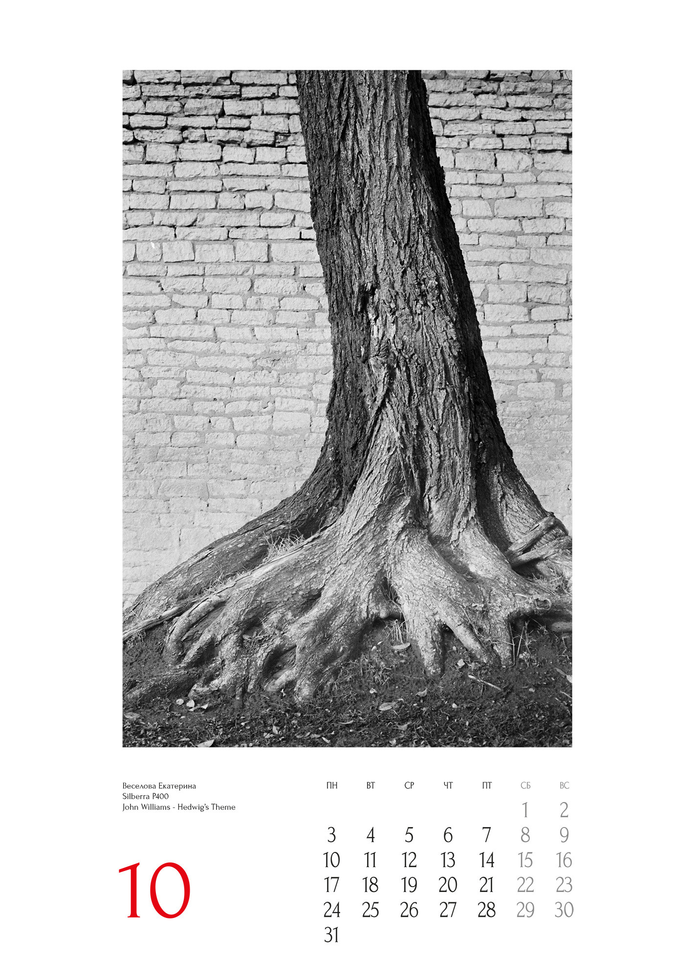 Проекты. Sakunov Photo