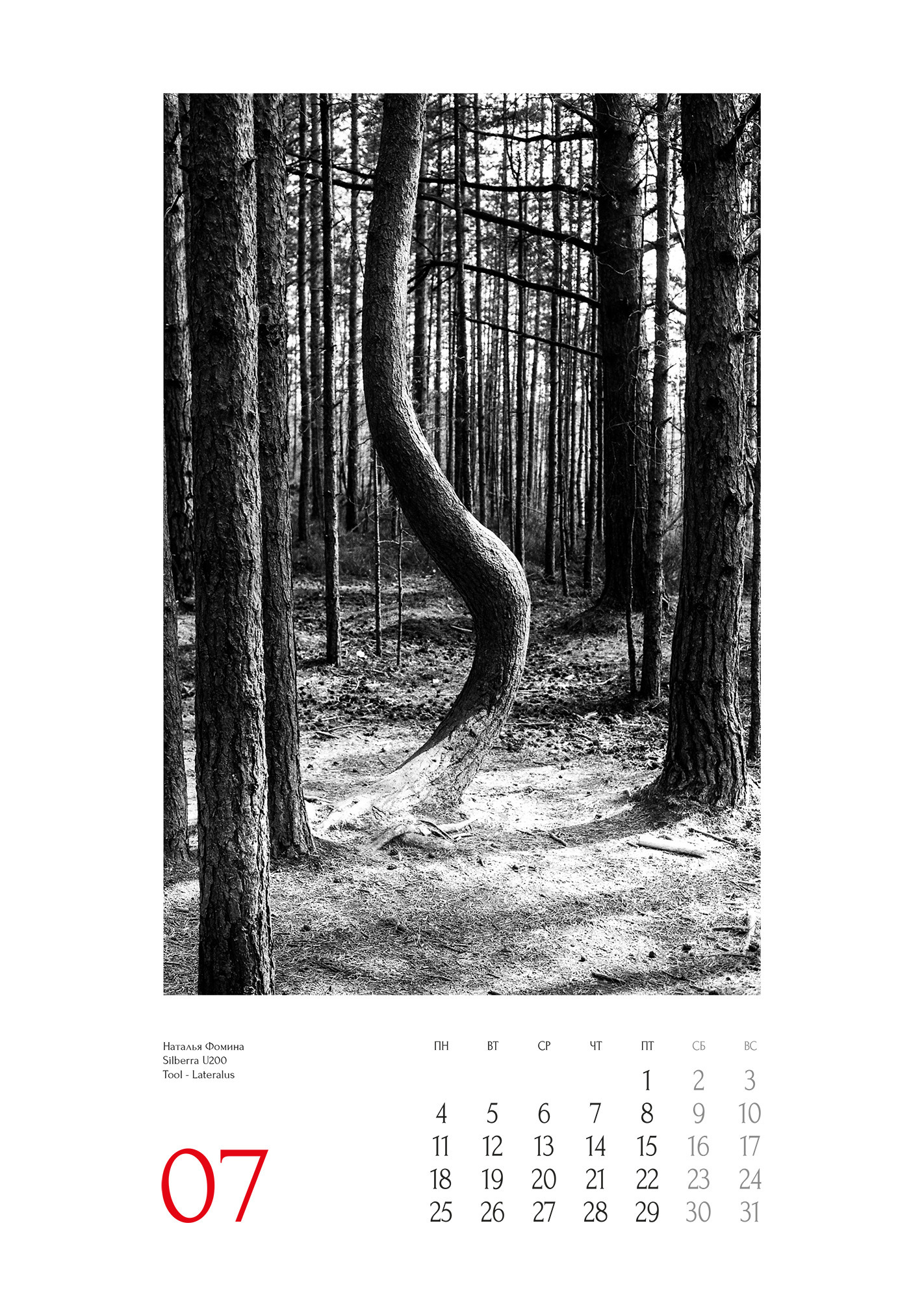 Проекты. Sakunov Photo