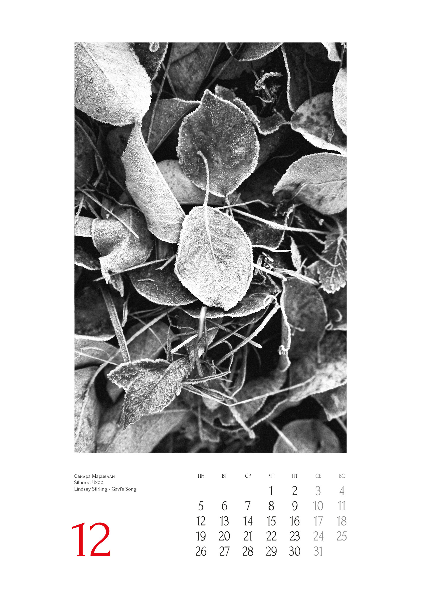 Проекты. Sakunov Photo