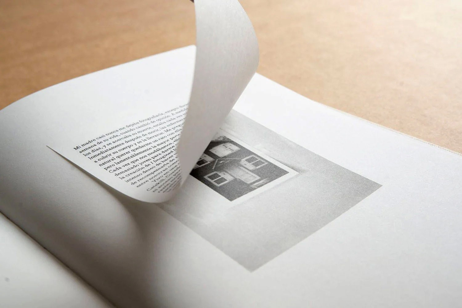 Проект «I Imagined It Empty» Рут Лауэр Маненти (Ruth Lauer Manenti). Private image